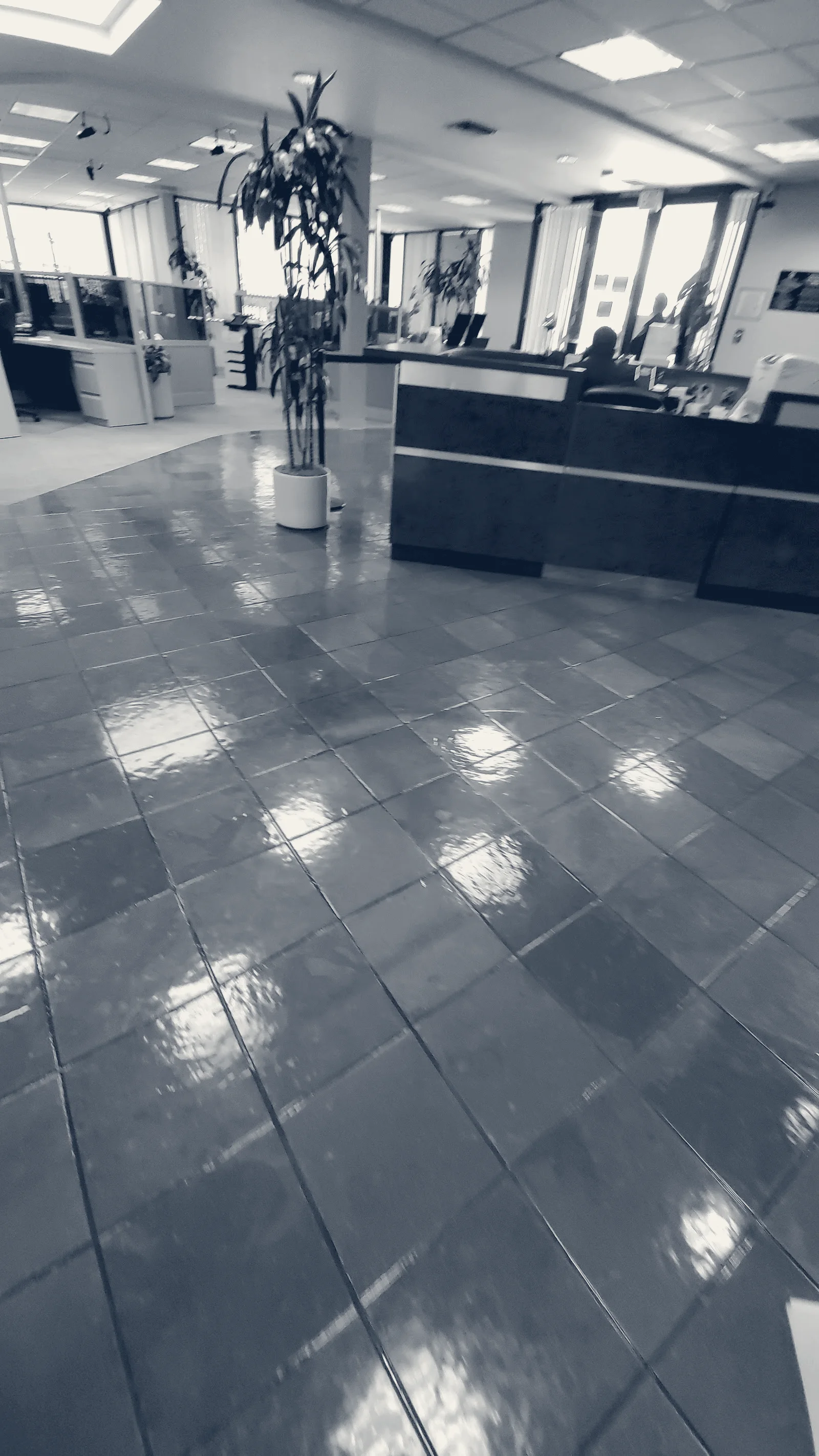 SDCCU Mira Mesa Branch — San Diego, California