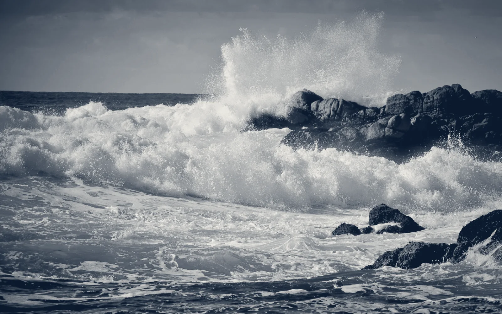 Shoreline Partners, LLC — San Diego, California