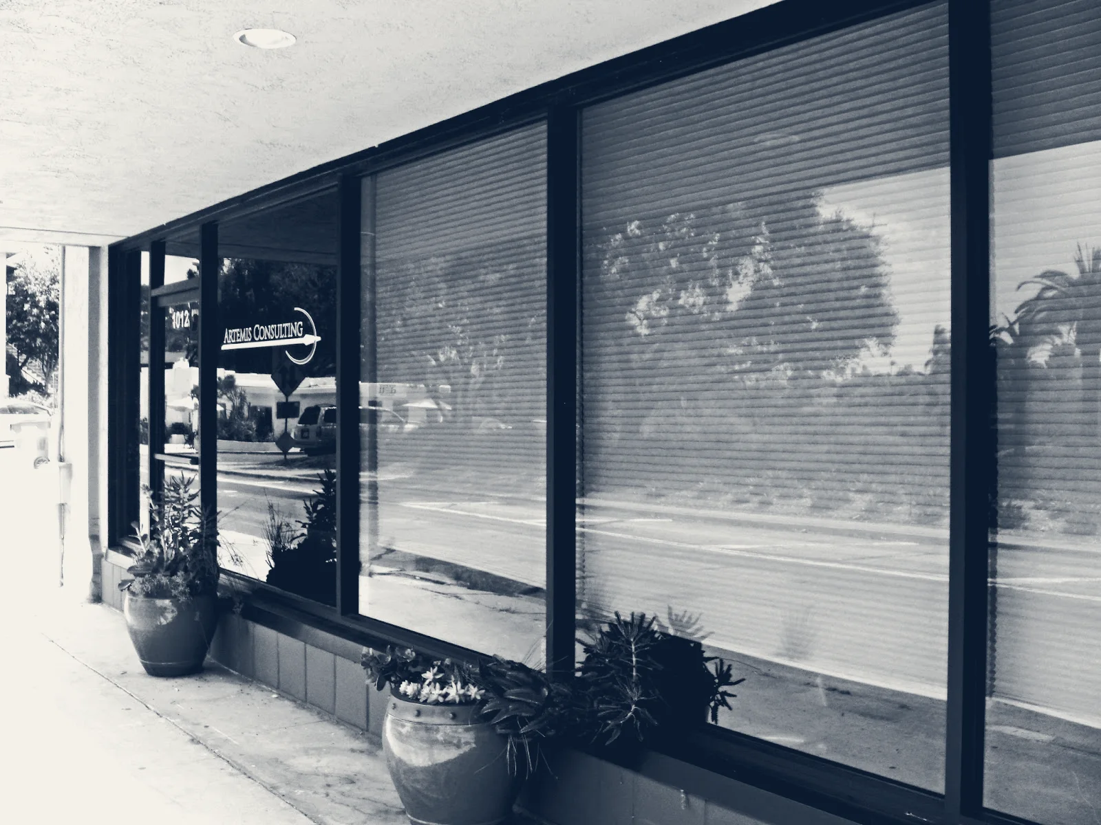 Artemis Consulting — San Diego, California