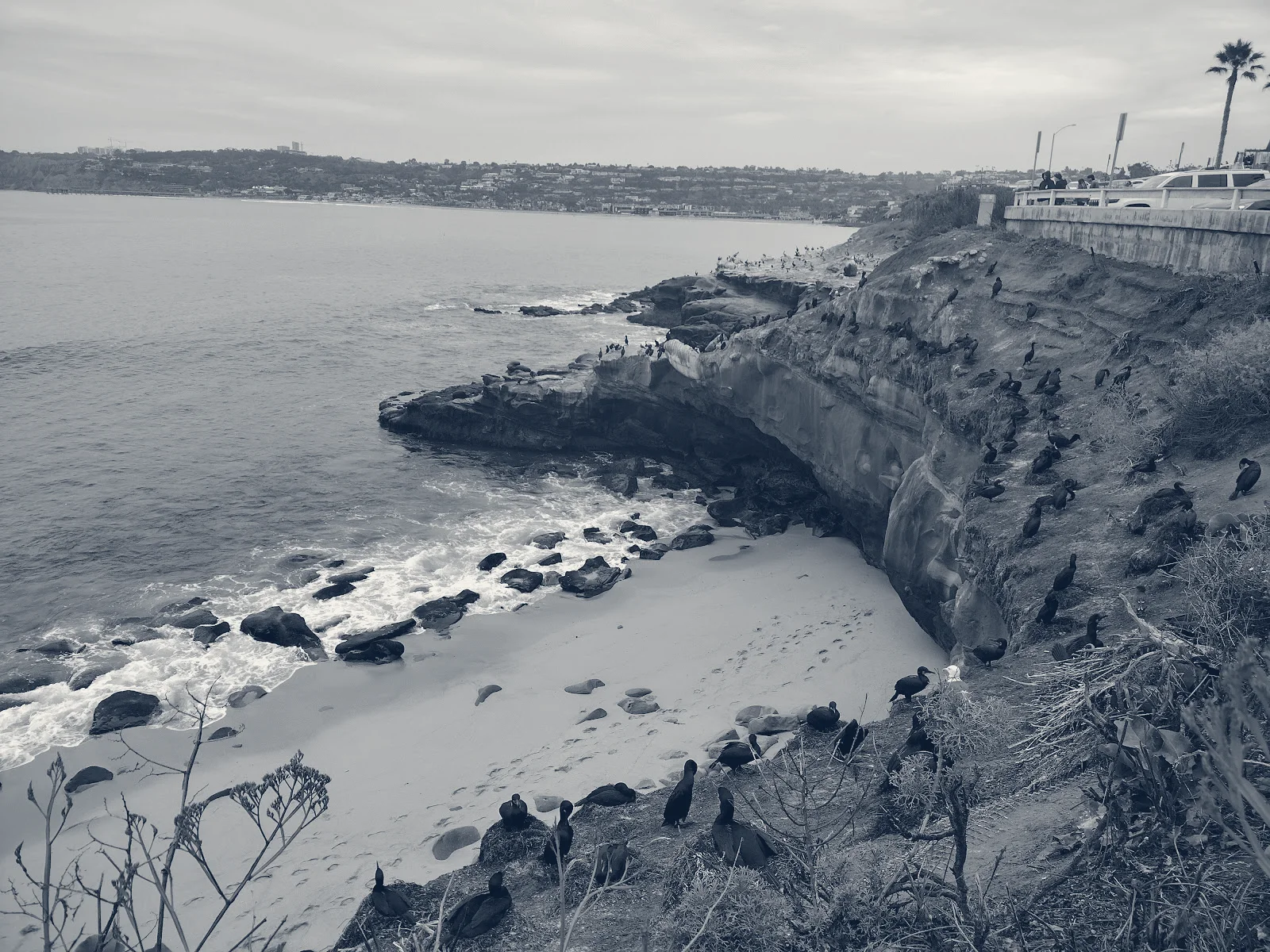 Sway Ventures — La Jolla, California