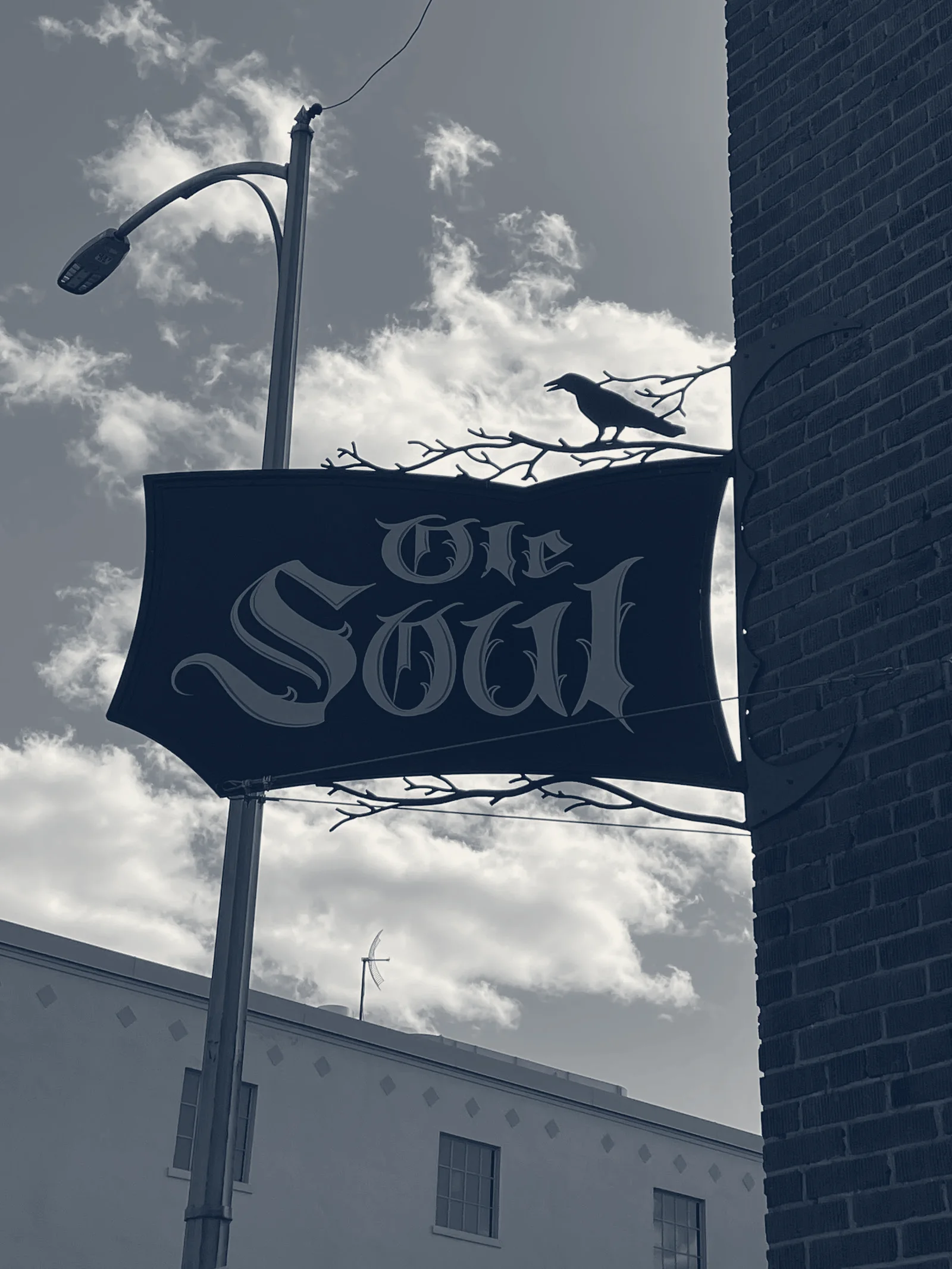 Ole Soul Studio — Wenatchee, Washington