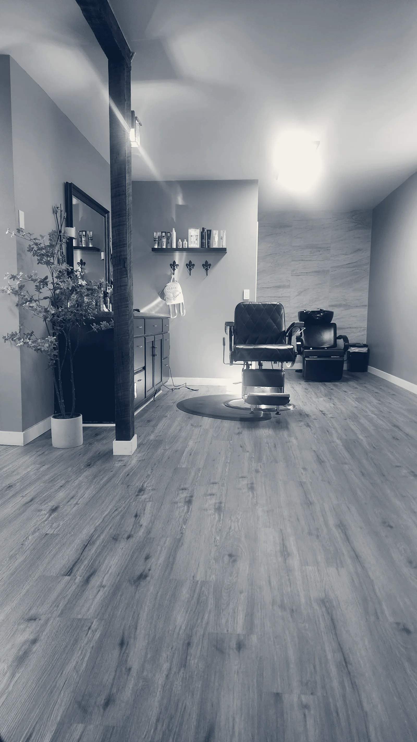 Mousse and Curls — East Wenatchee, Washington