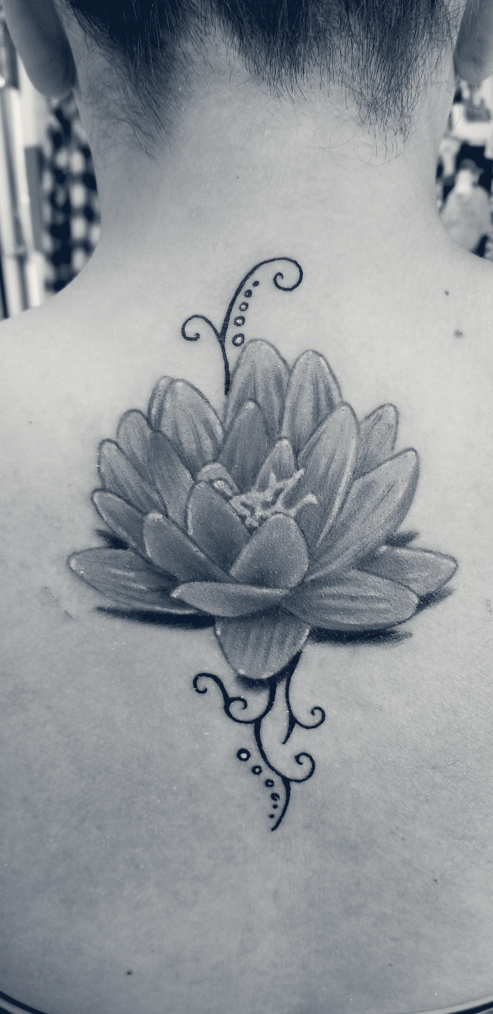 Rebel's Tattoo Studio — Wenatchee, Washington