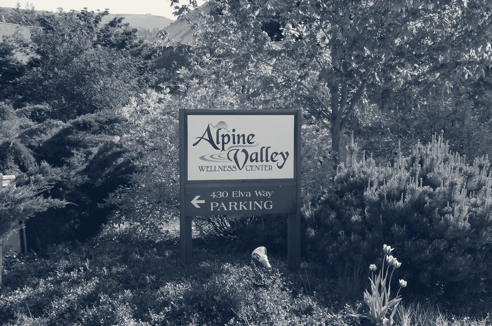 Alpine Valley Wellness Center — East Wenatchee, Washington