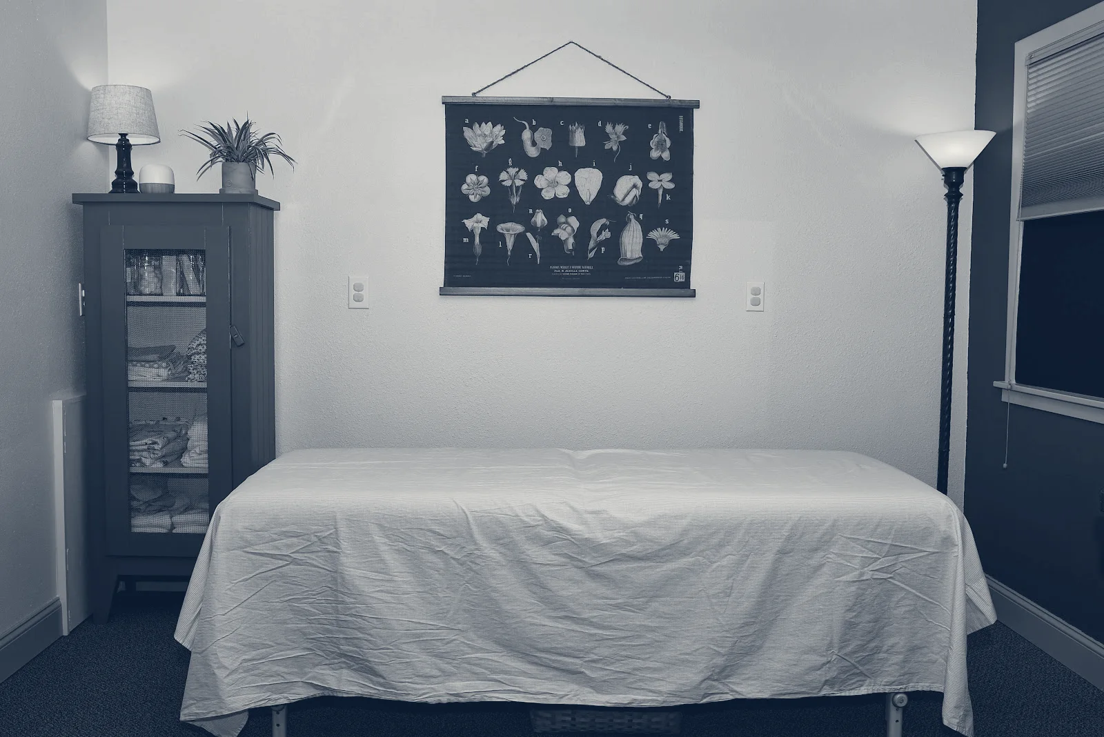 Blue Earth Medicine — Wenatchee, Washington