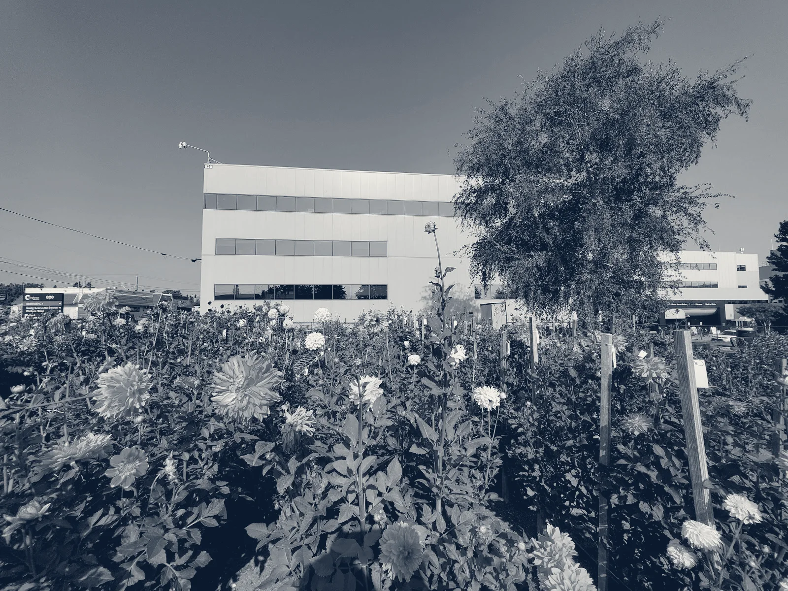 Confluence Health | Mares Campus — Wenatchee, Washington