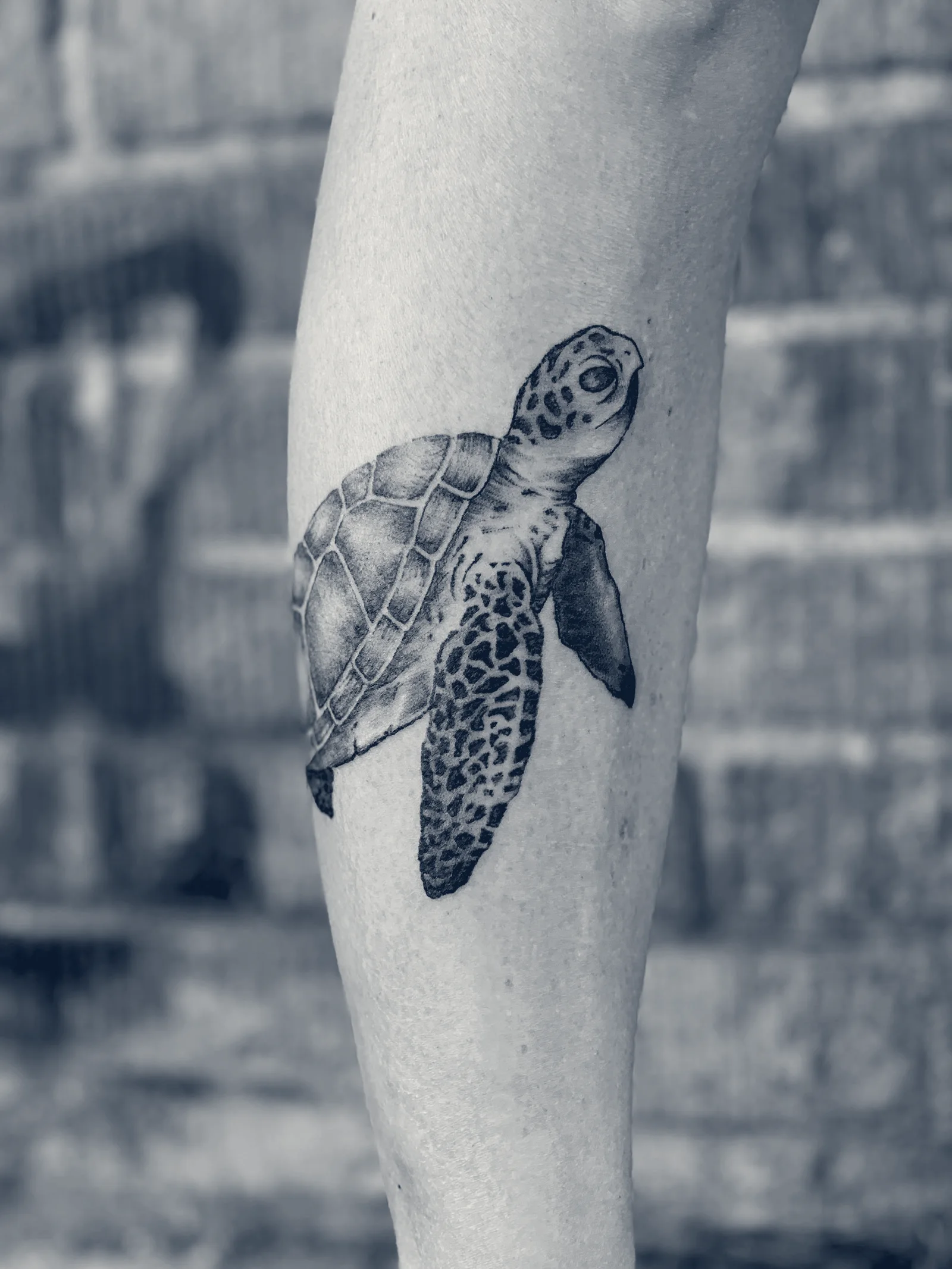 Kristina Louise Tattoos — Wenatchee, Washington