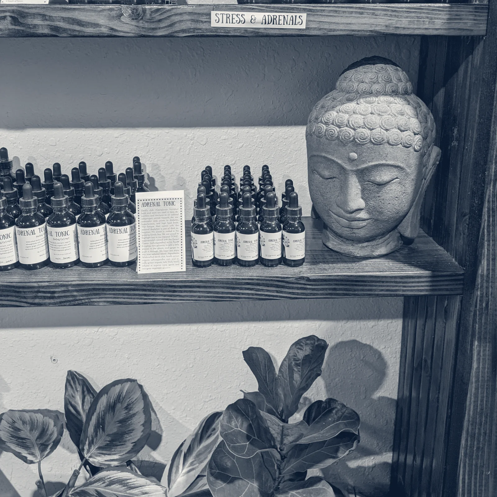 Mission Health & Wellness — Wenatchee, Washington