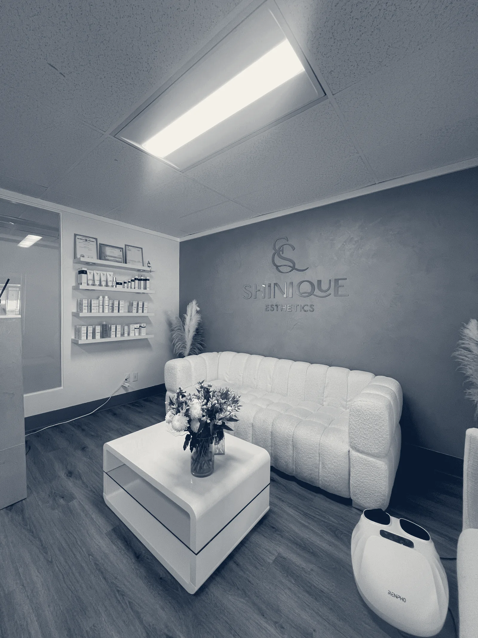 Shinique Esthetics — Bellevue, Washington