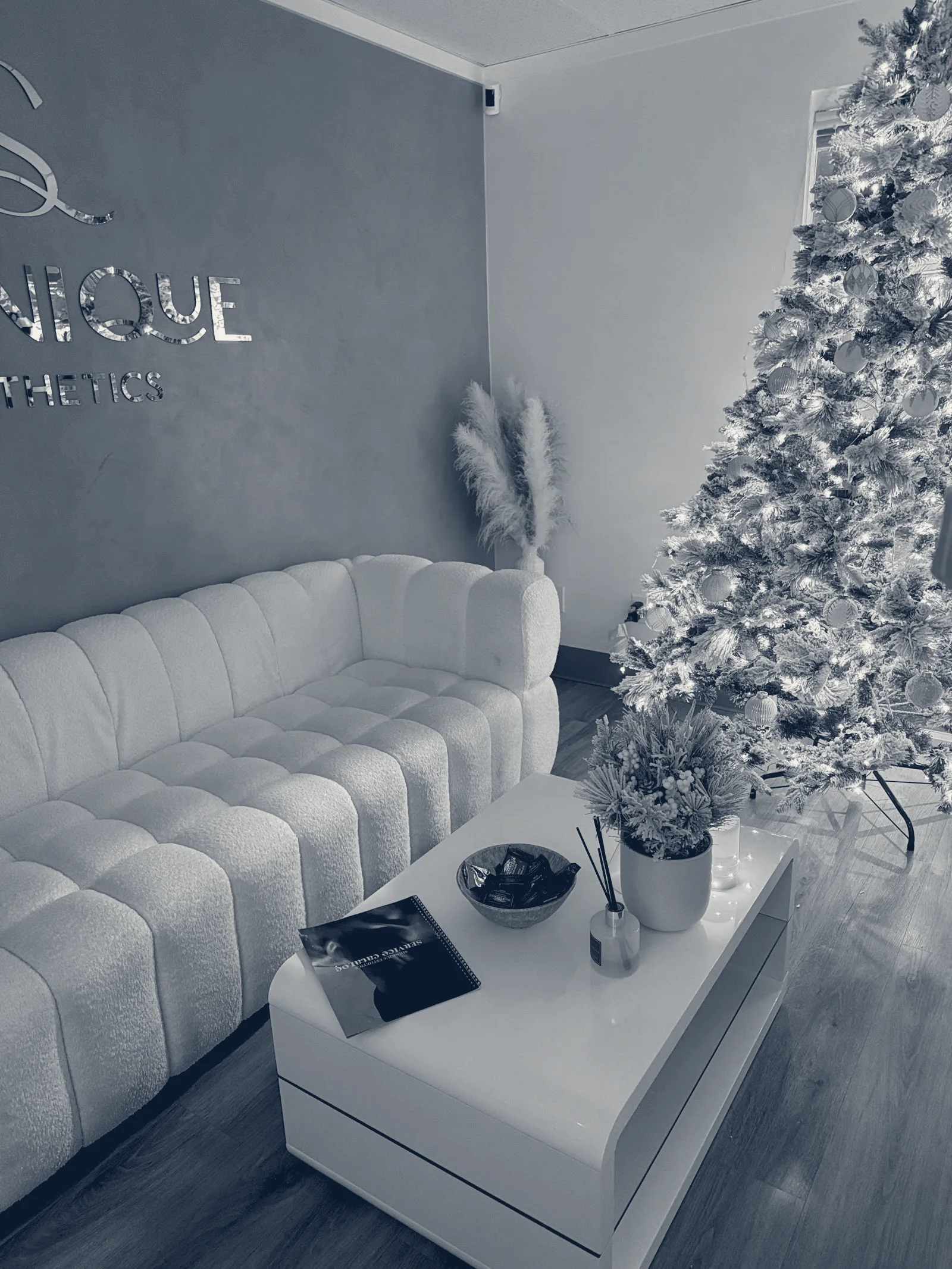 Shinique Esthetics — Bellevue, Washington
