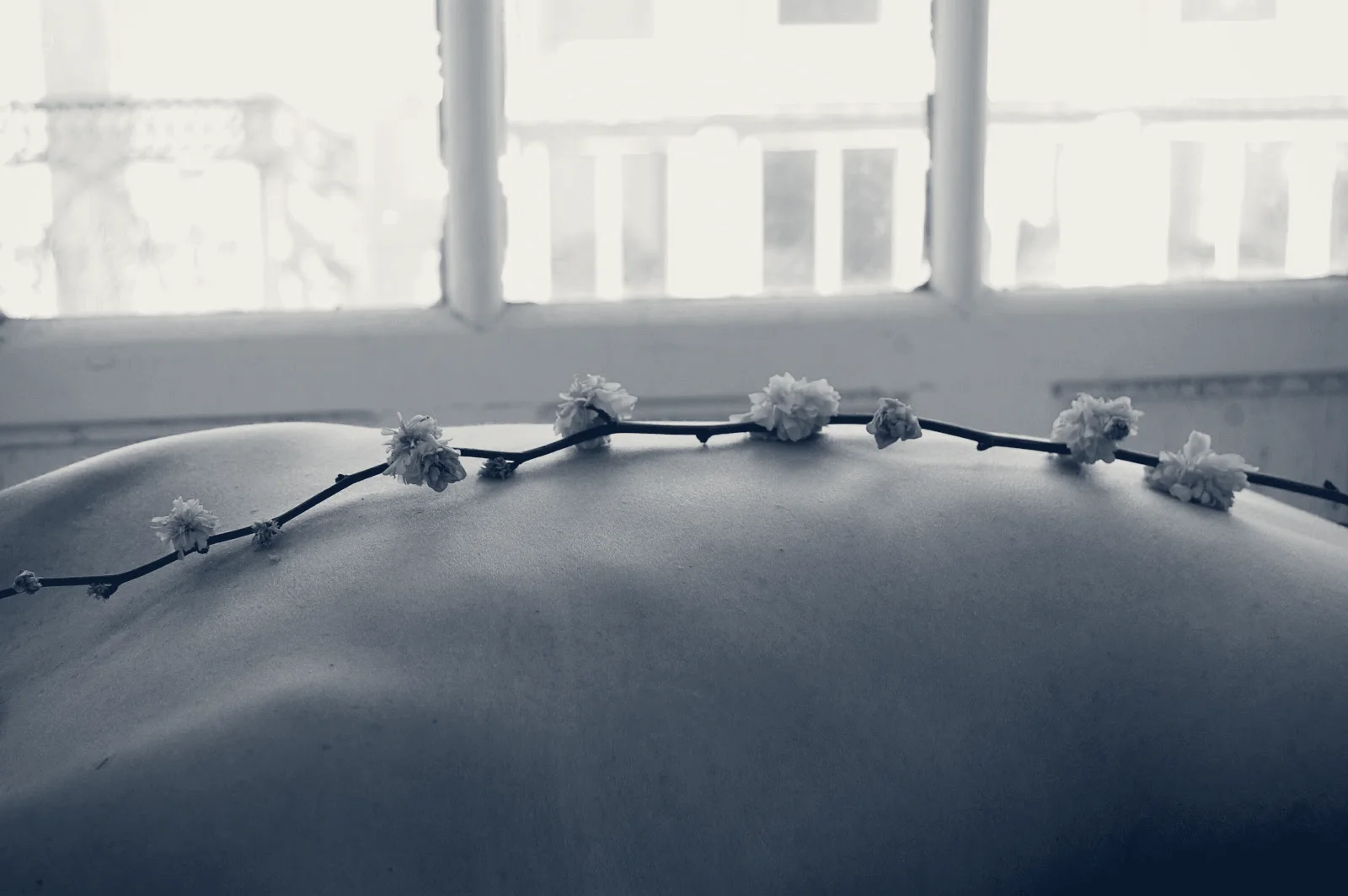 Soul to Soul Massage Therapy & Bodywork — Moses Lake, Washington