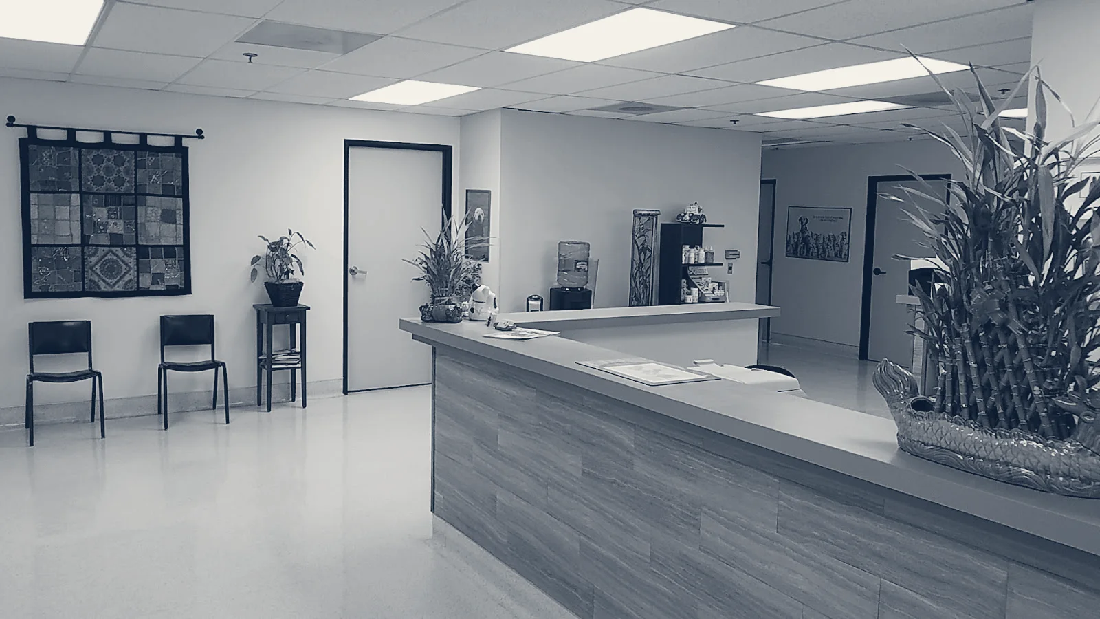 Veterinary Integrative Center — Redlands, California