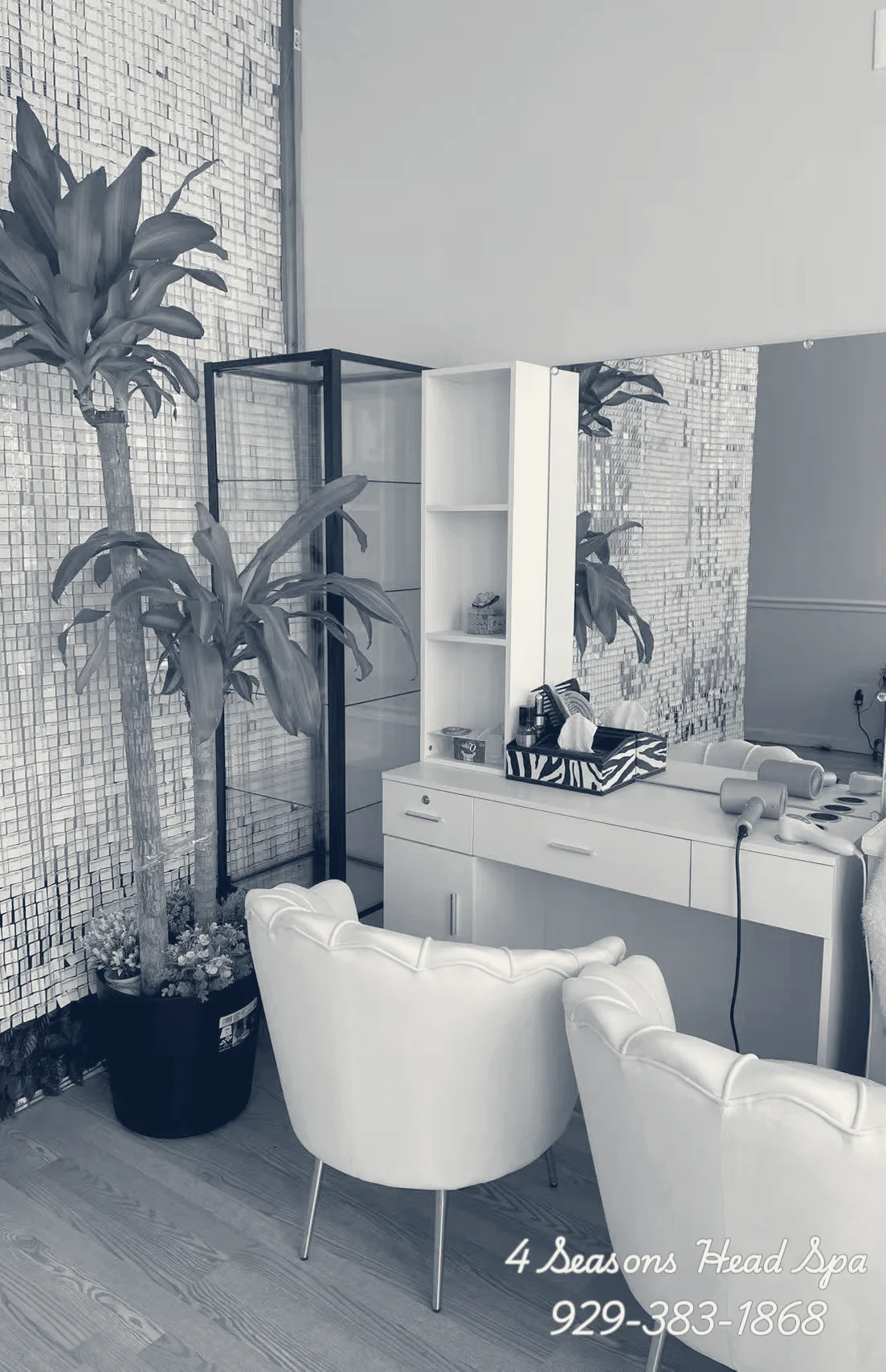 Four Seasons Head Spa — Mineola, New York