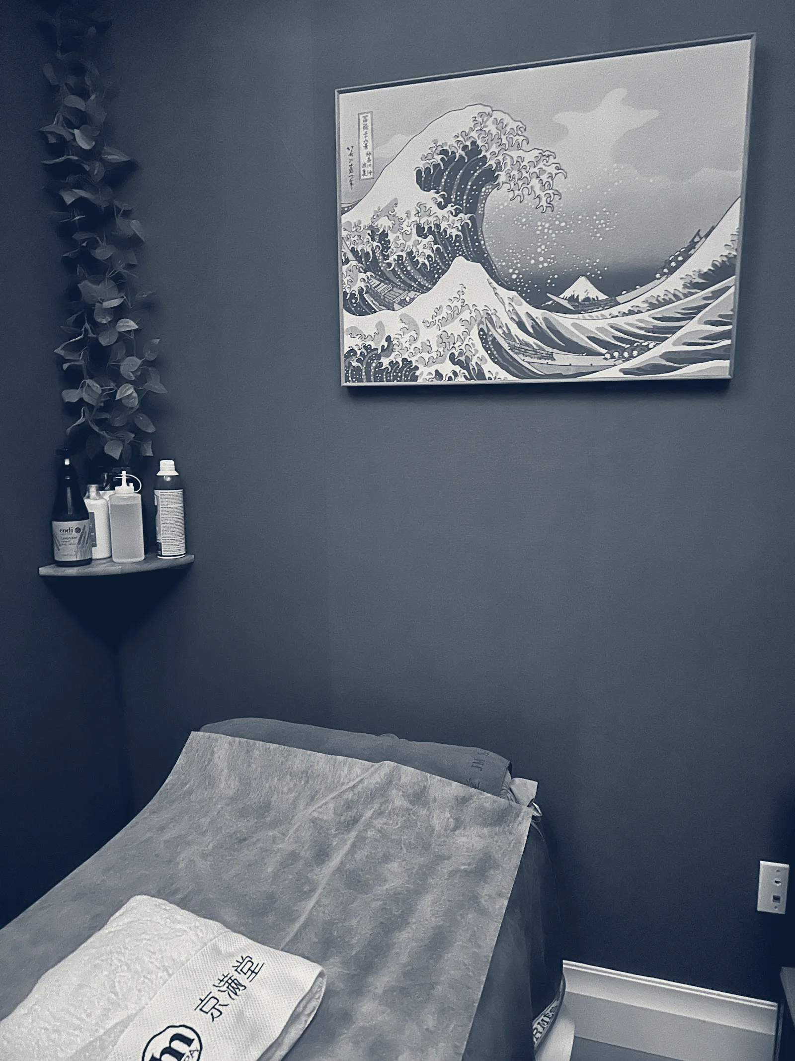 JM Spa — Manhasset, New York