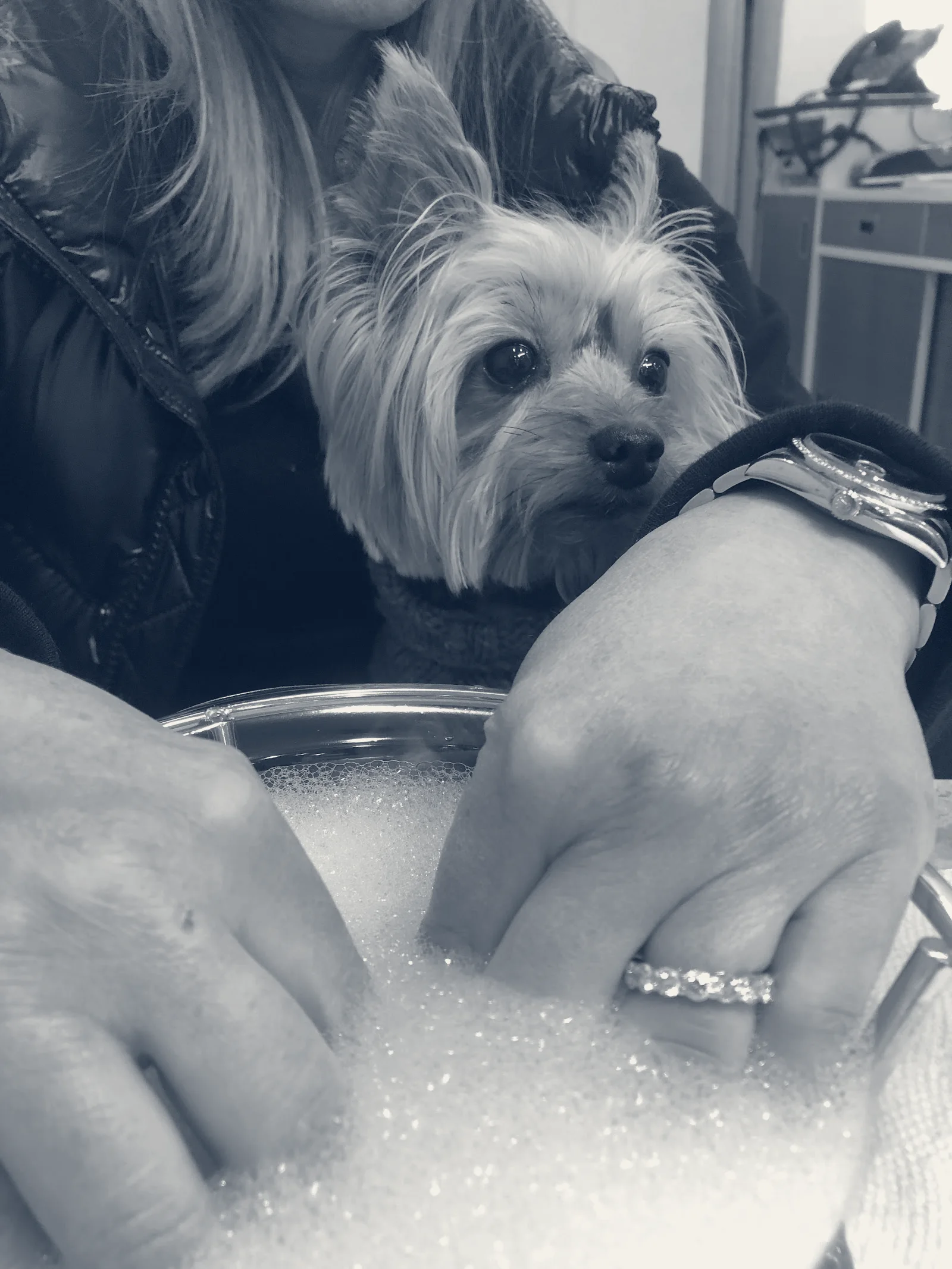 Julia Day Spa of Manhasset — Manhasset, New York