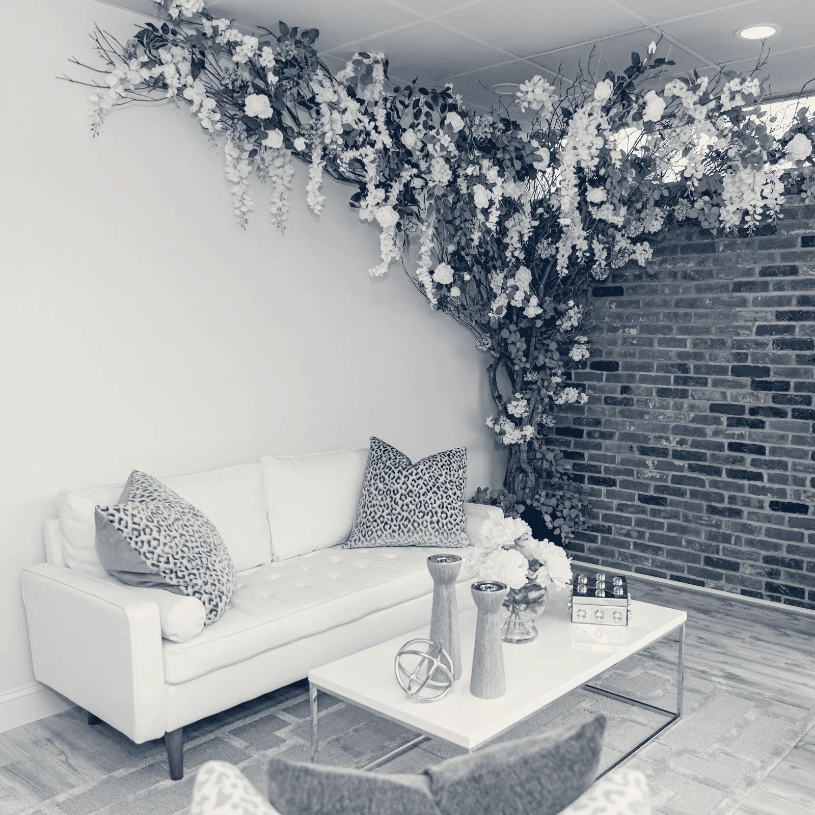 Tenth Avenue Aesthetics — East Northport, New York