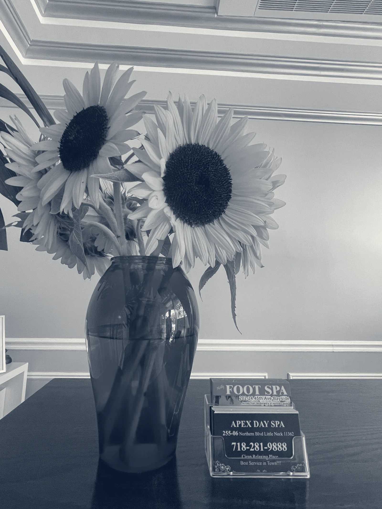 Apex Day Spa — Little Neck, New York