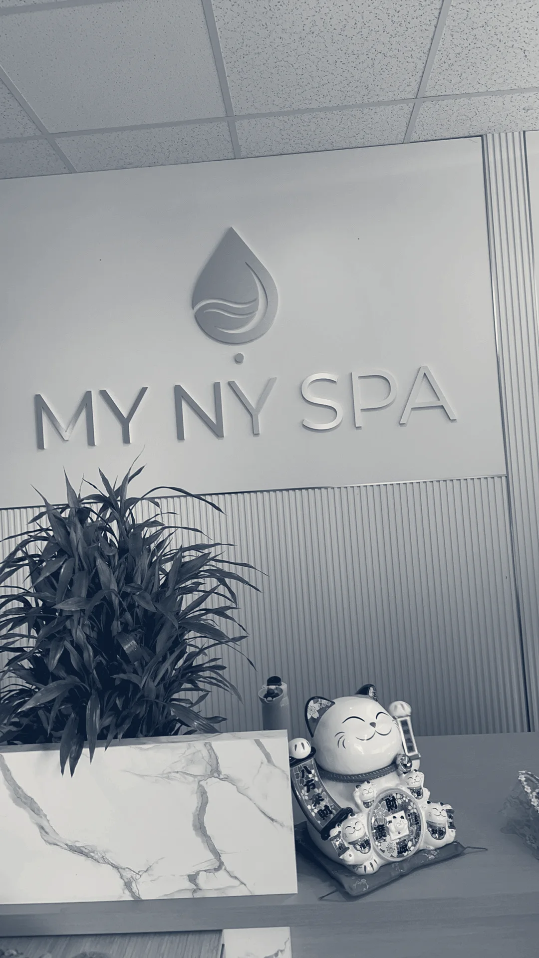 MY NY SPA — Amityville, New York