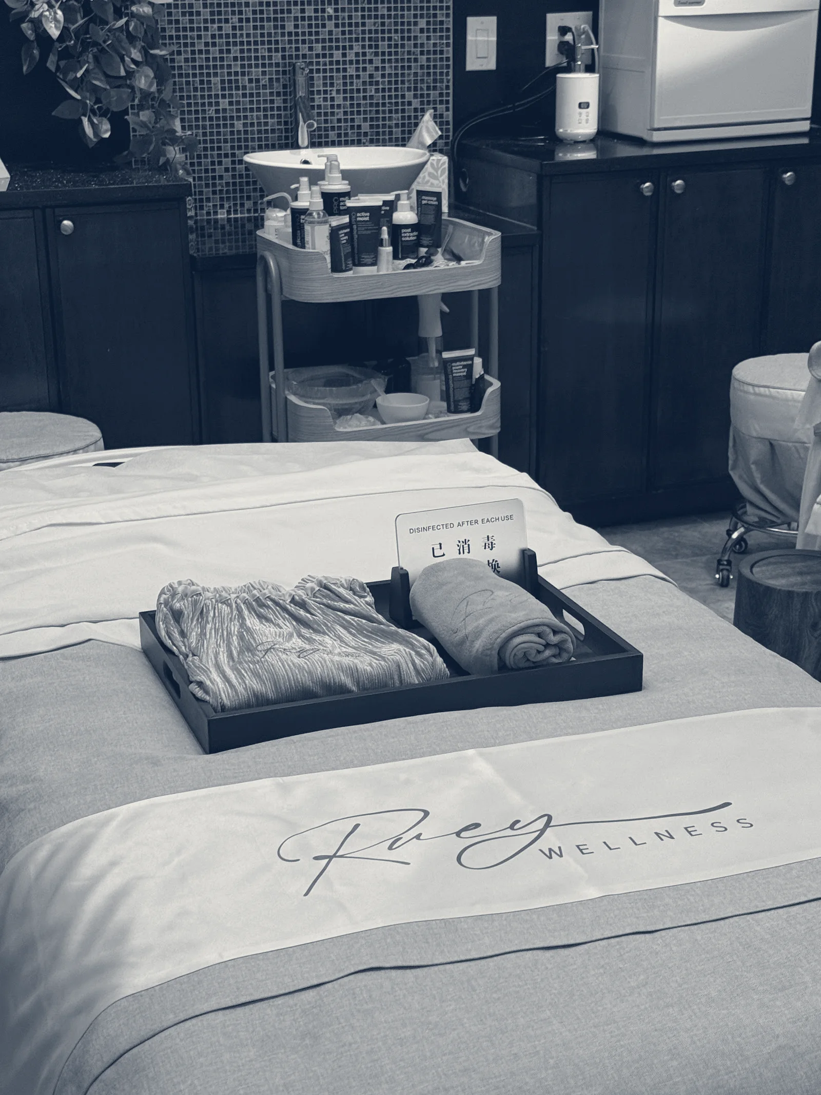Ruey Wellness — Great Neck, New York