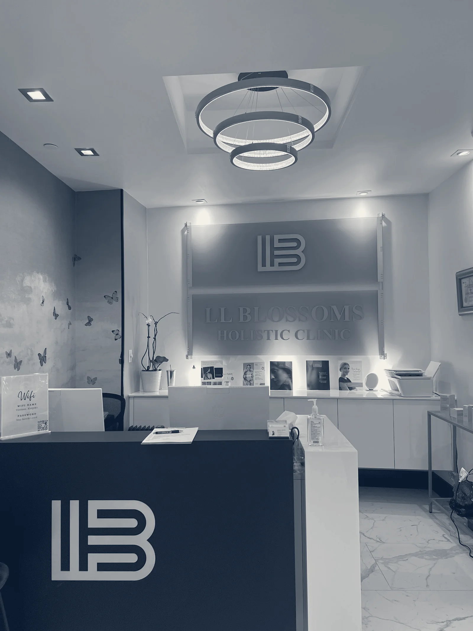 LL Blossoms Holistic Clinic — Great Neck, New York