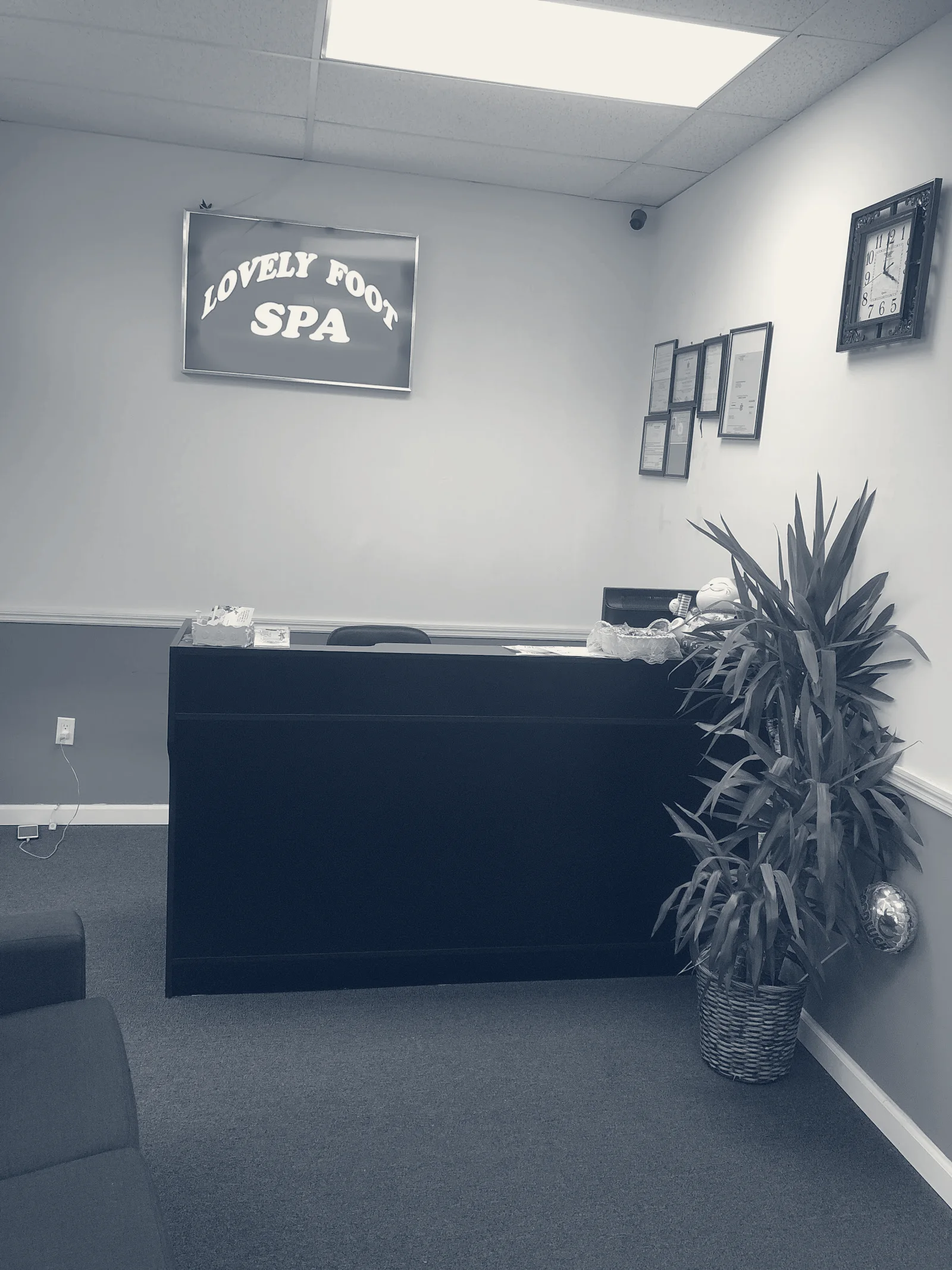 Lovely Foot SPA — Plainview, New York