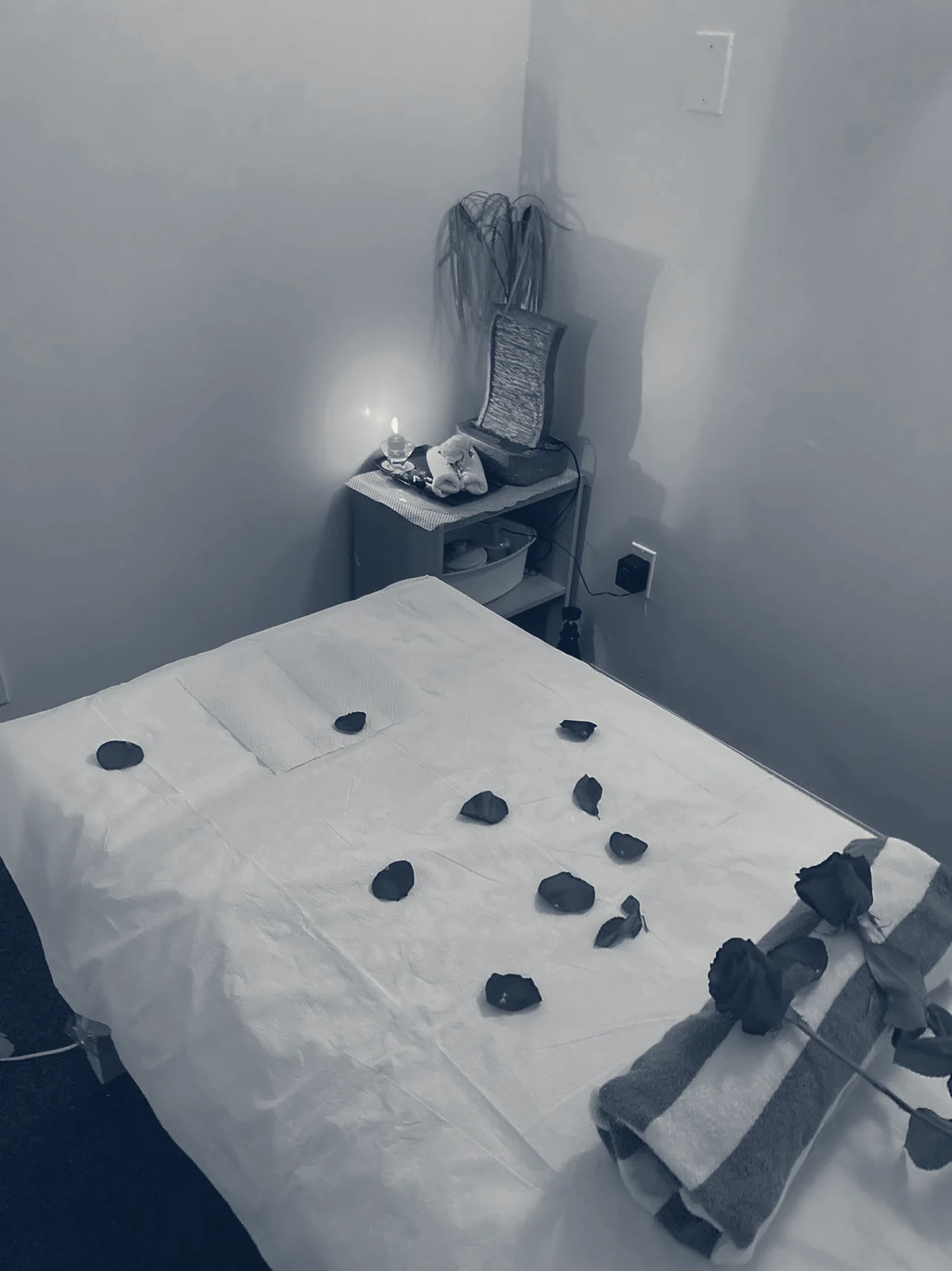 Alice Beauty Spa — Flushing, New York