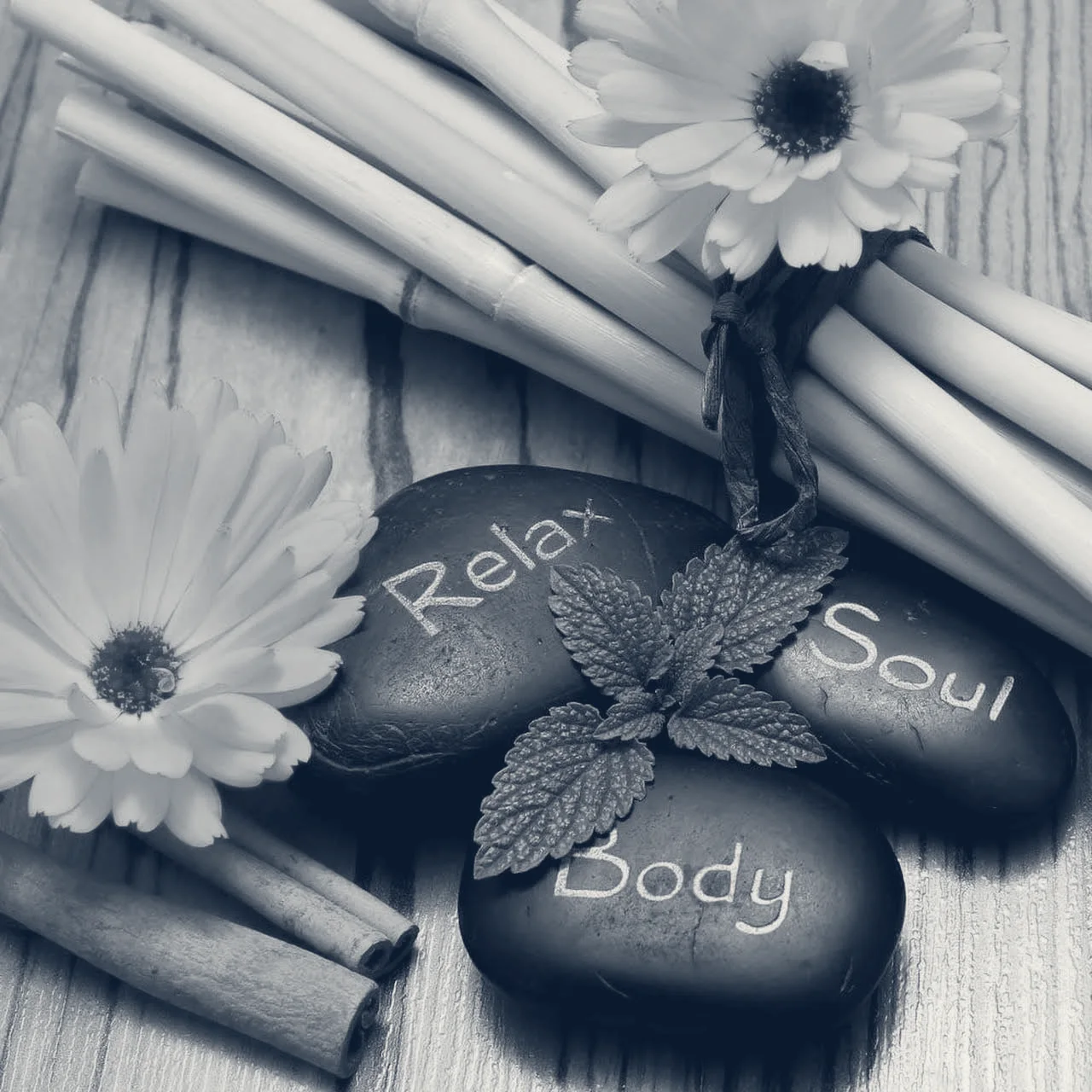 Fix Me Day Spa — Bayside, New York
