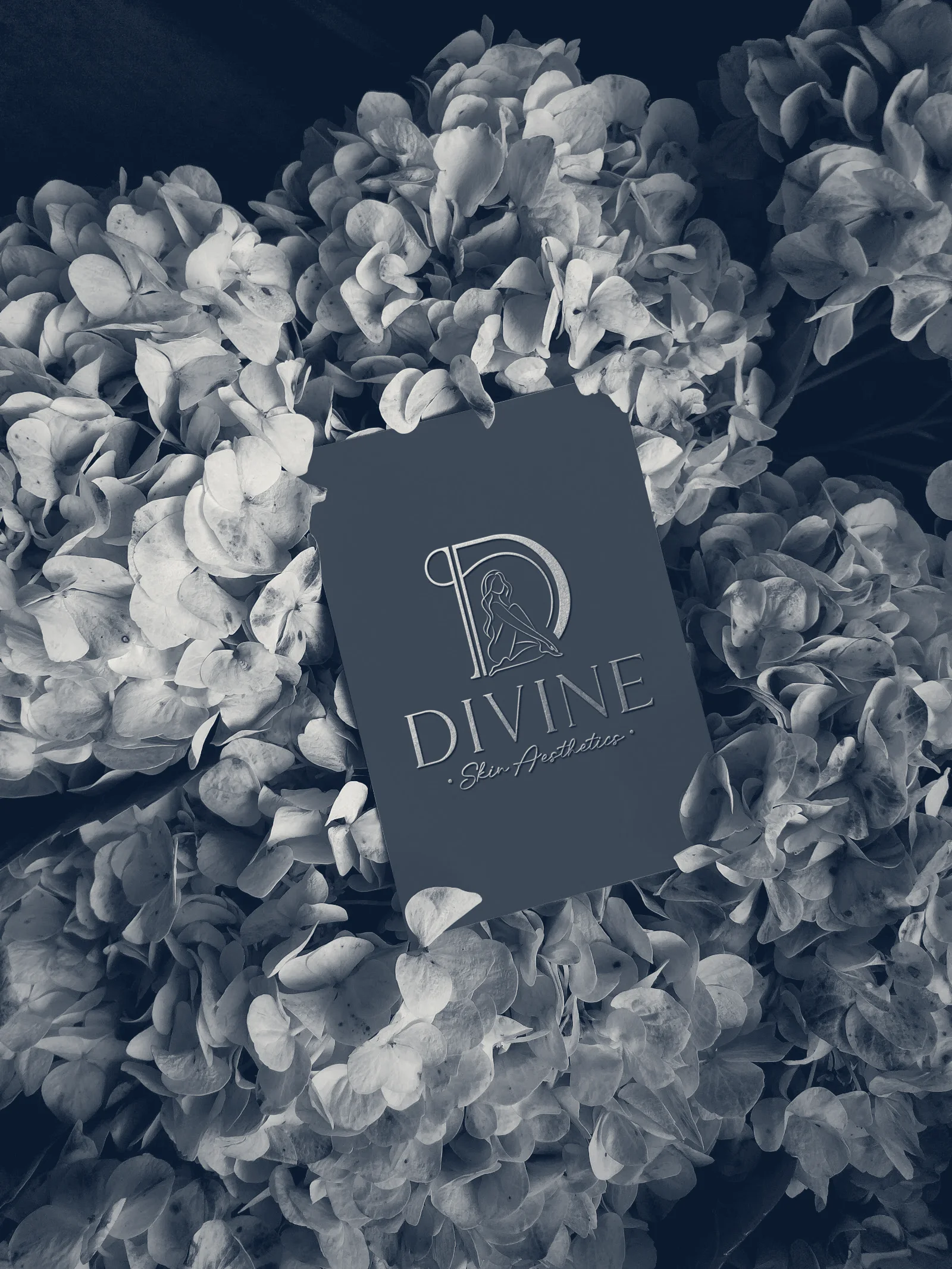 Divine Skin Aesthetics — Commack, New York