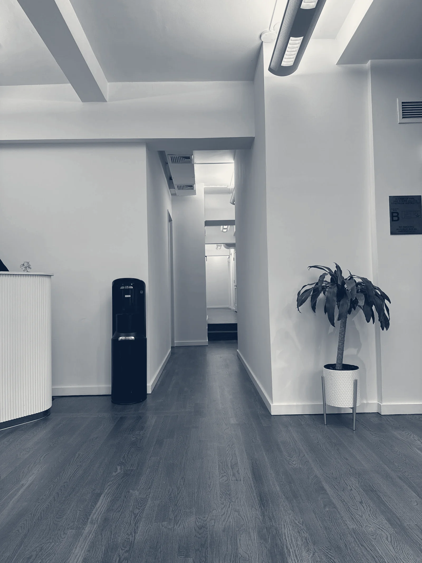 Azary Aesthetics — Carle Place, New York