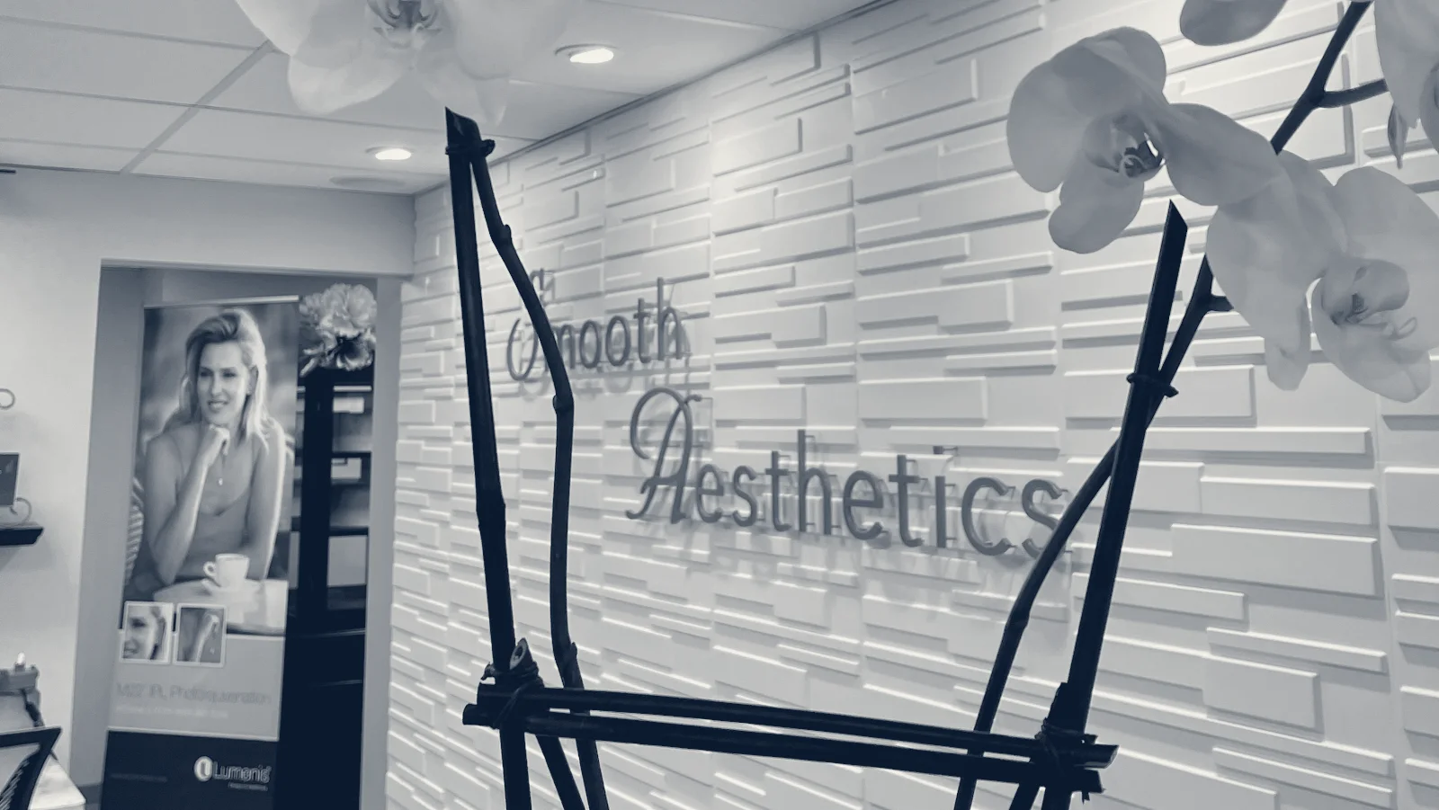 Smooth Aesthetics by Maria Dovale — Mineola, New York