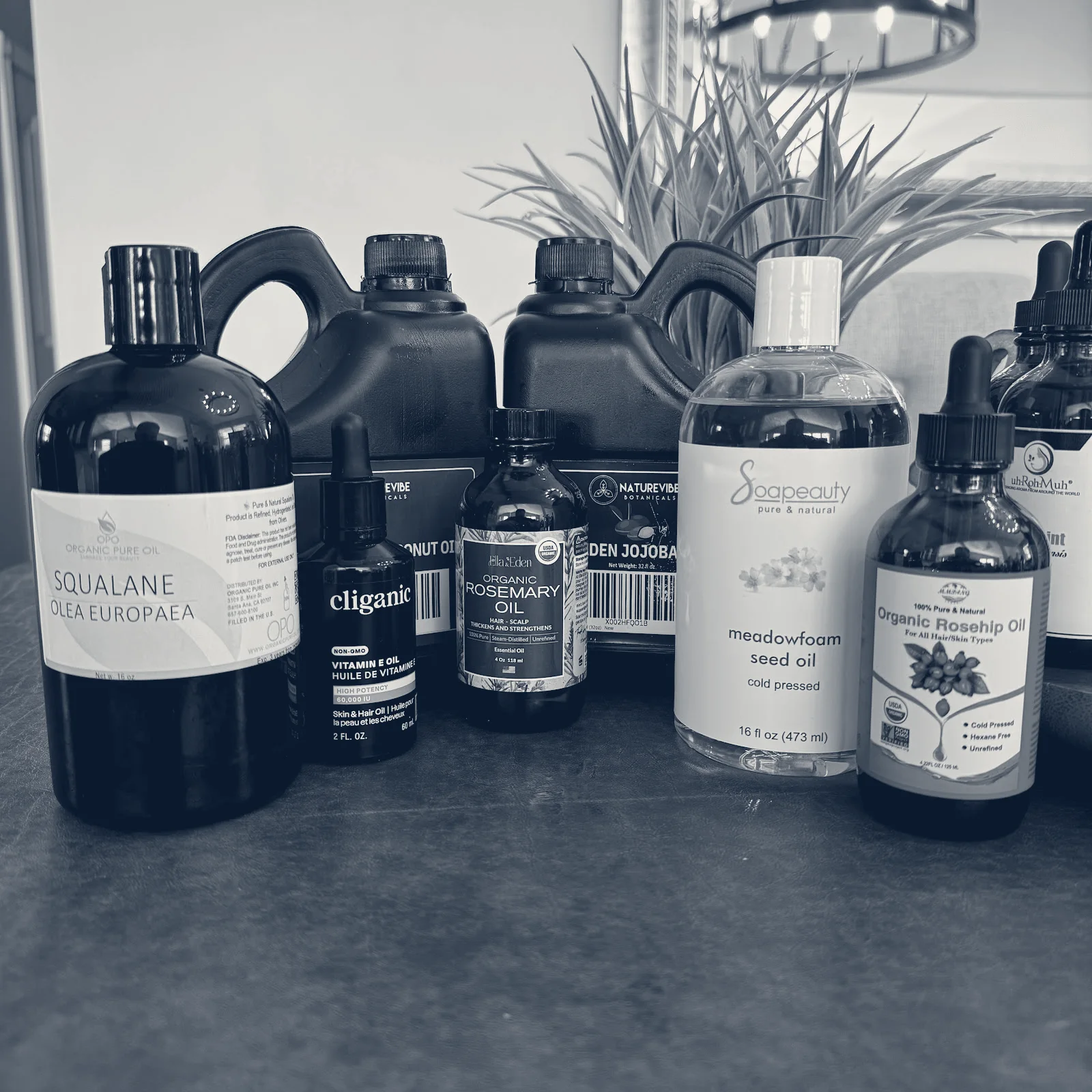 The Mind and Body Collective — Freeport, New York