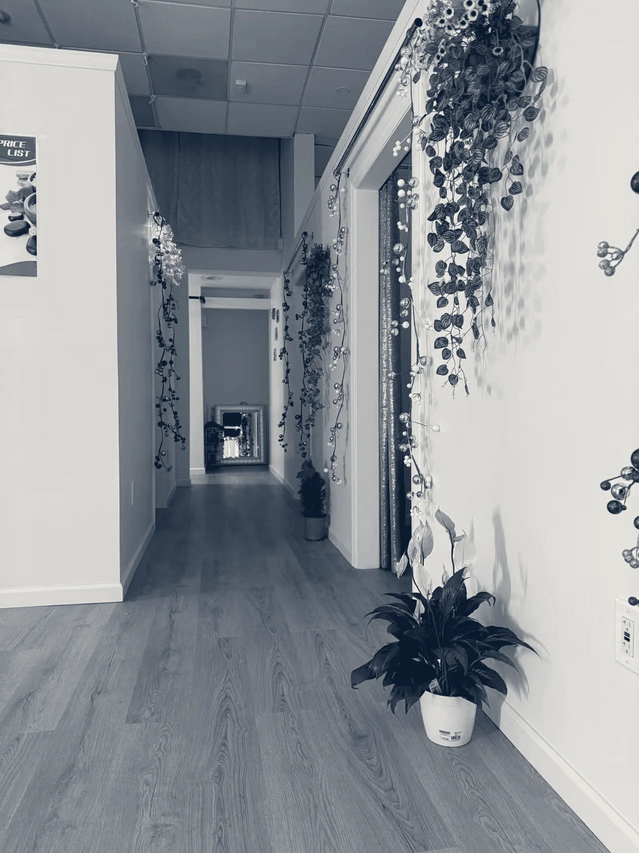 Lilac Spa — Hempstead, New York