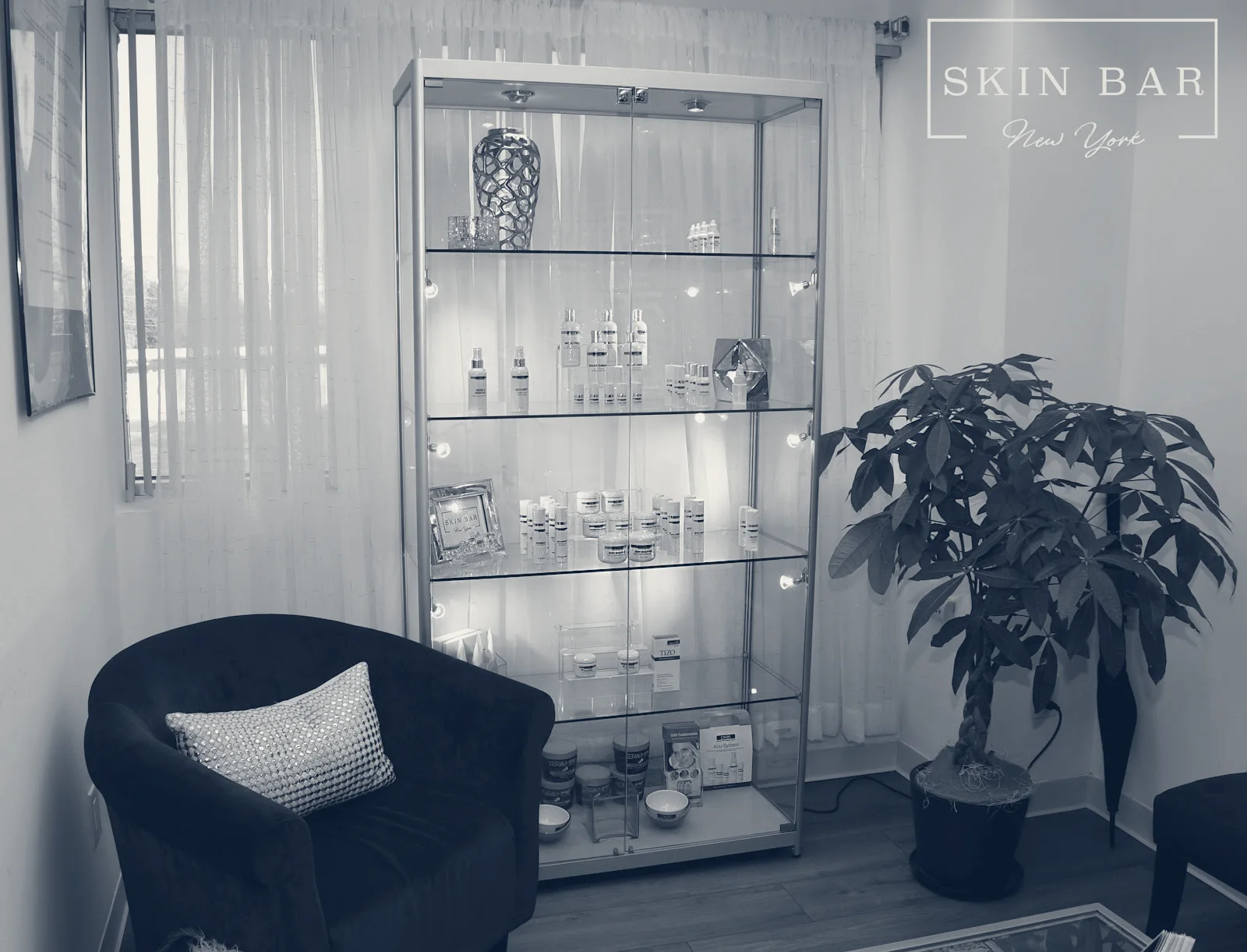 Skin Bar New York — Dix Hills, New York
