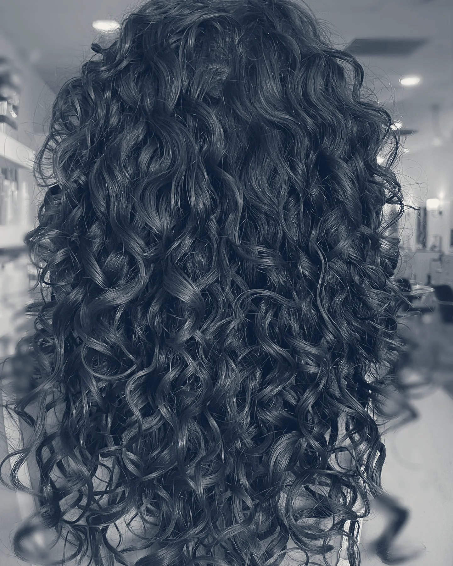 Elysian Hair Spa — Huntington, New York