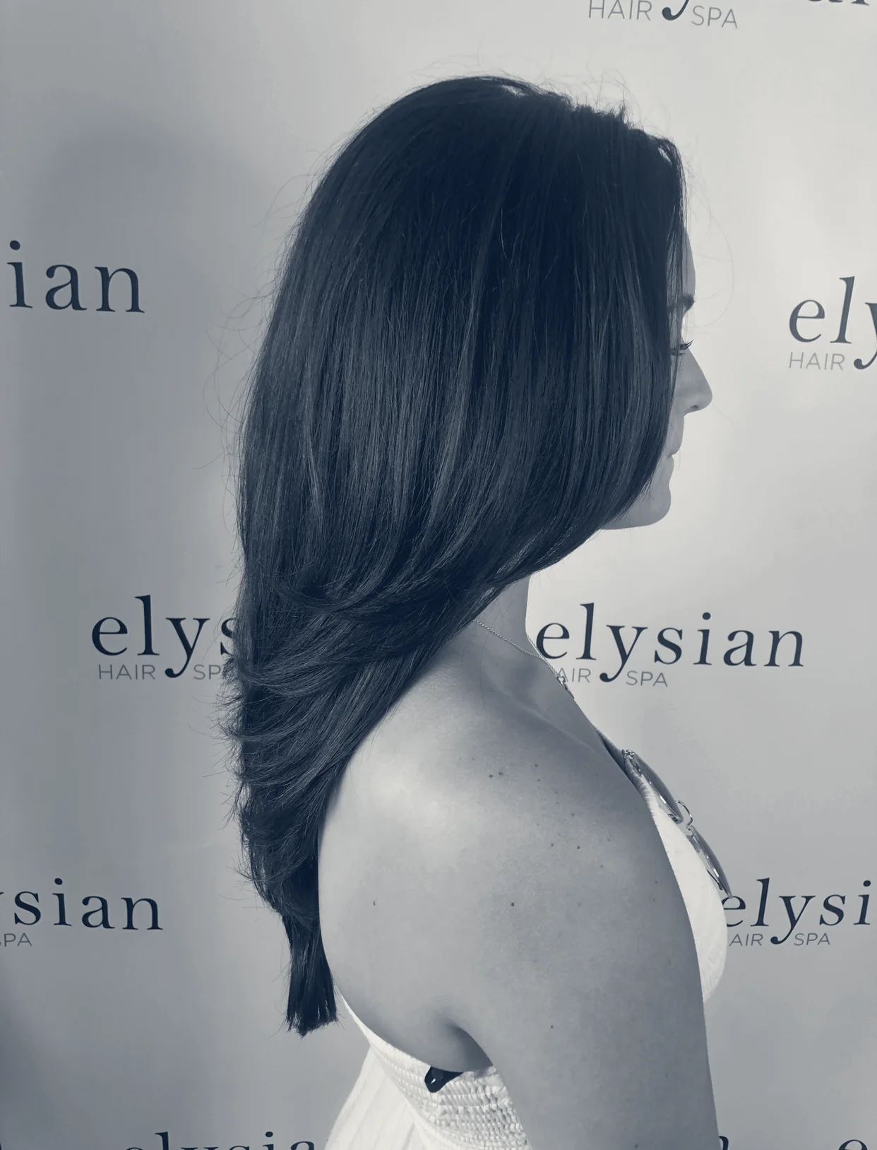 Elysian Hair Spa — Huntington, New York