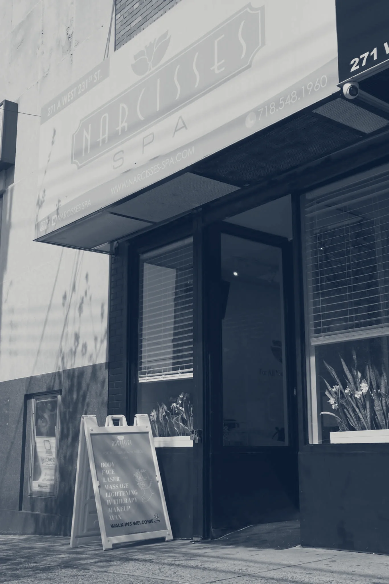 Narcisses — Bronx, New York