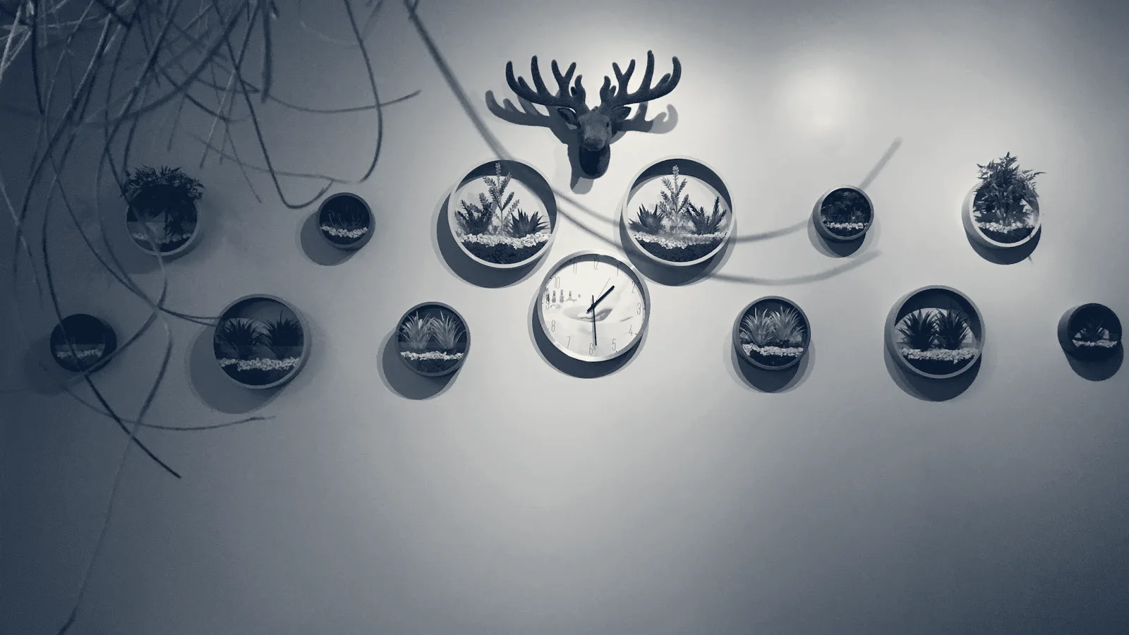 Infinity Wellness Bodywork — Forest Hills, New York
