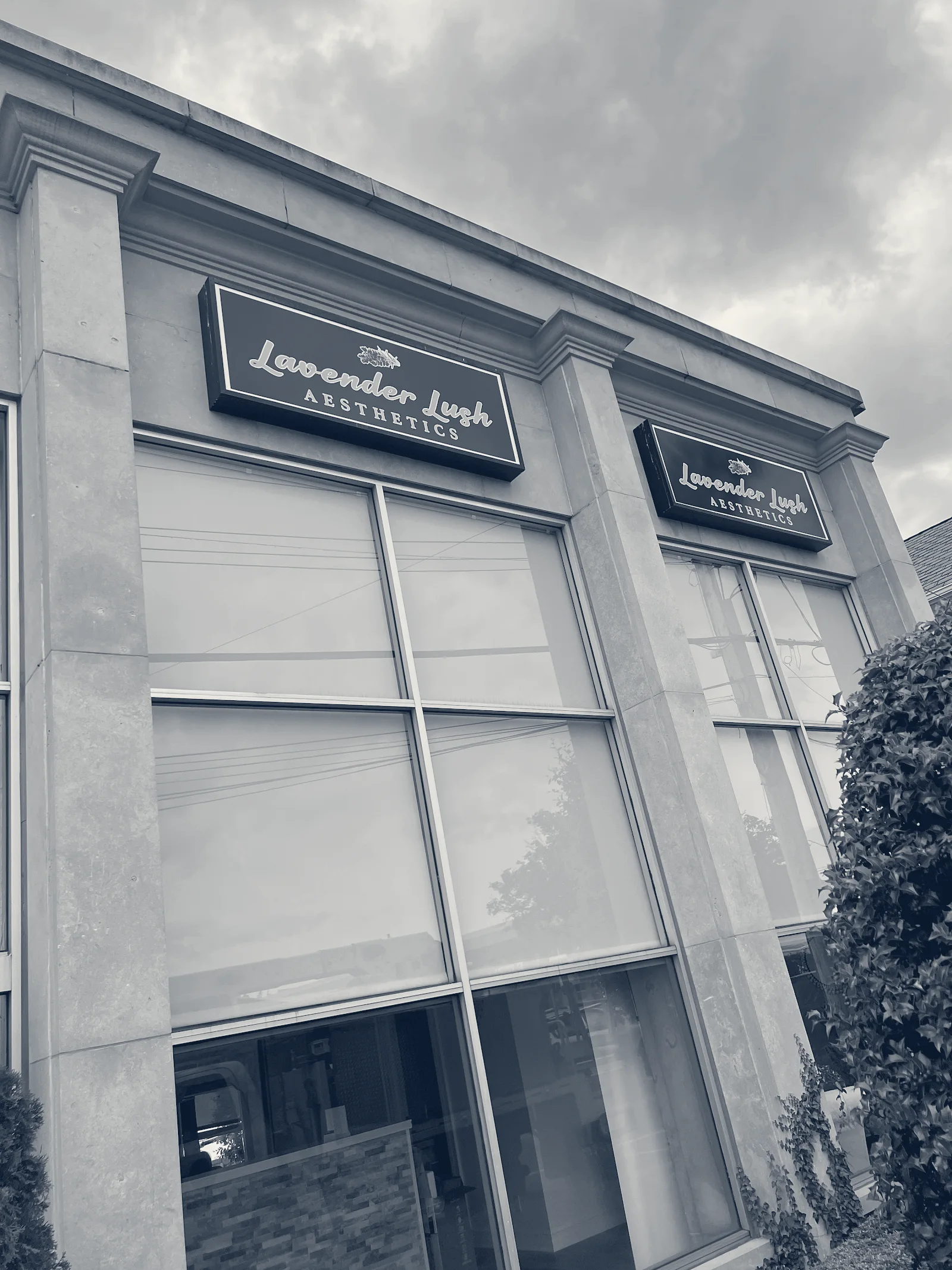 Lavender Lush Aesthetics — Syosset, New York