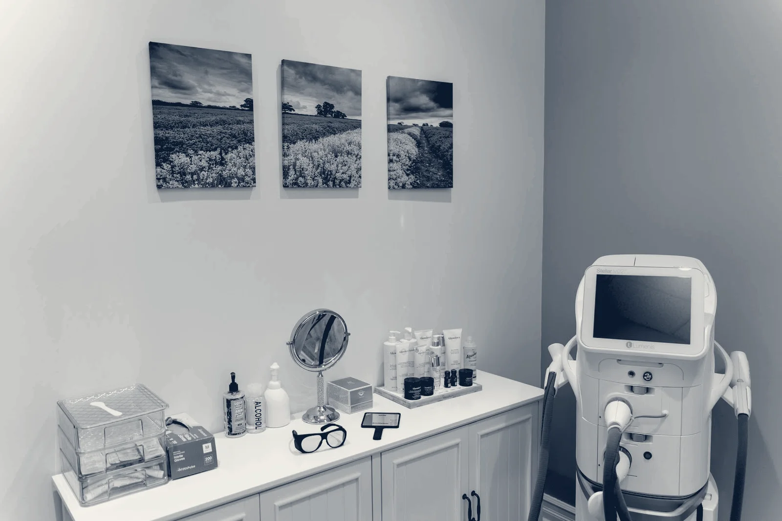 Lavender Lush Aesthetics — Syosset, New York