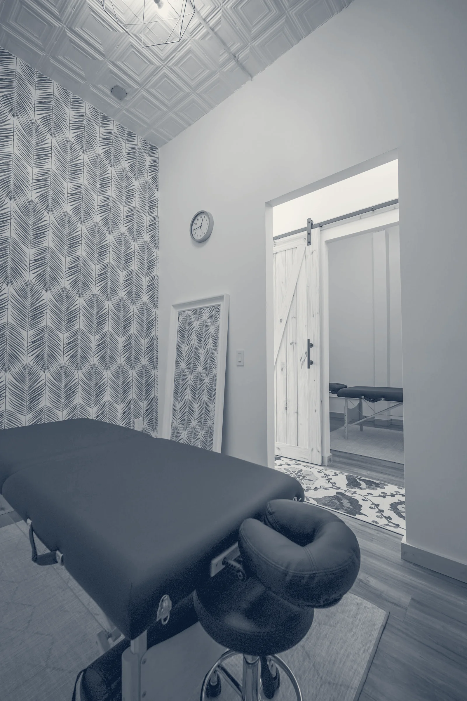 Noctua Diem Recovery and Wellness — Ridgewood, New York