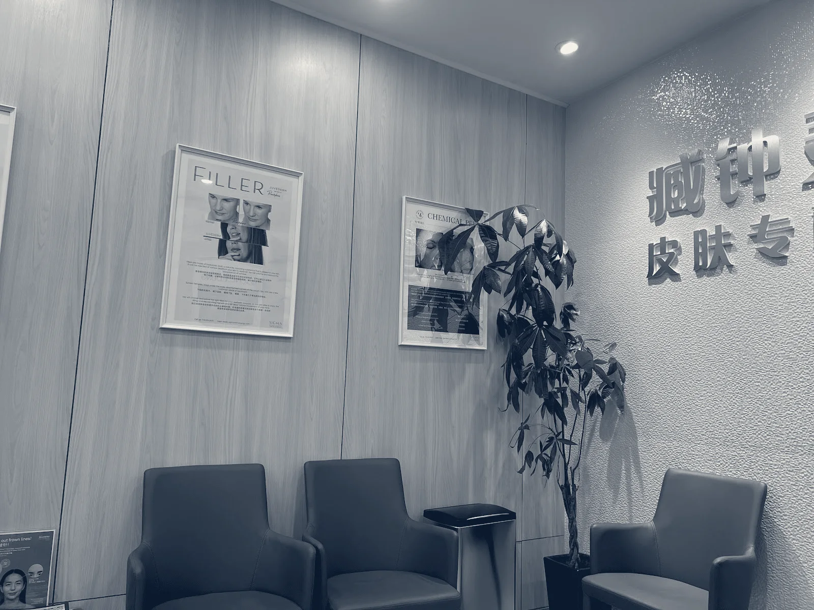 Sigma Dermatology: Julie Zang, MD PhD FAAD — Flushing, New York