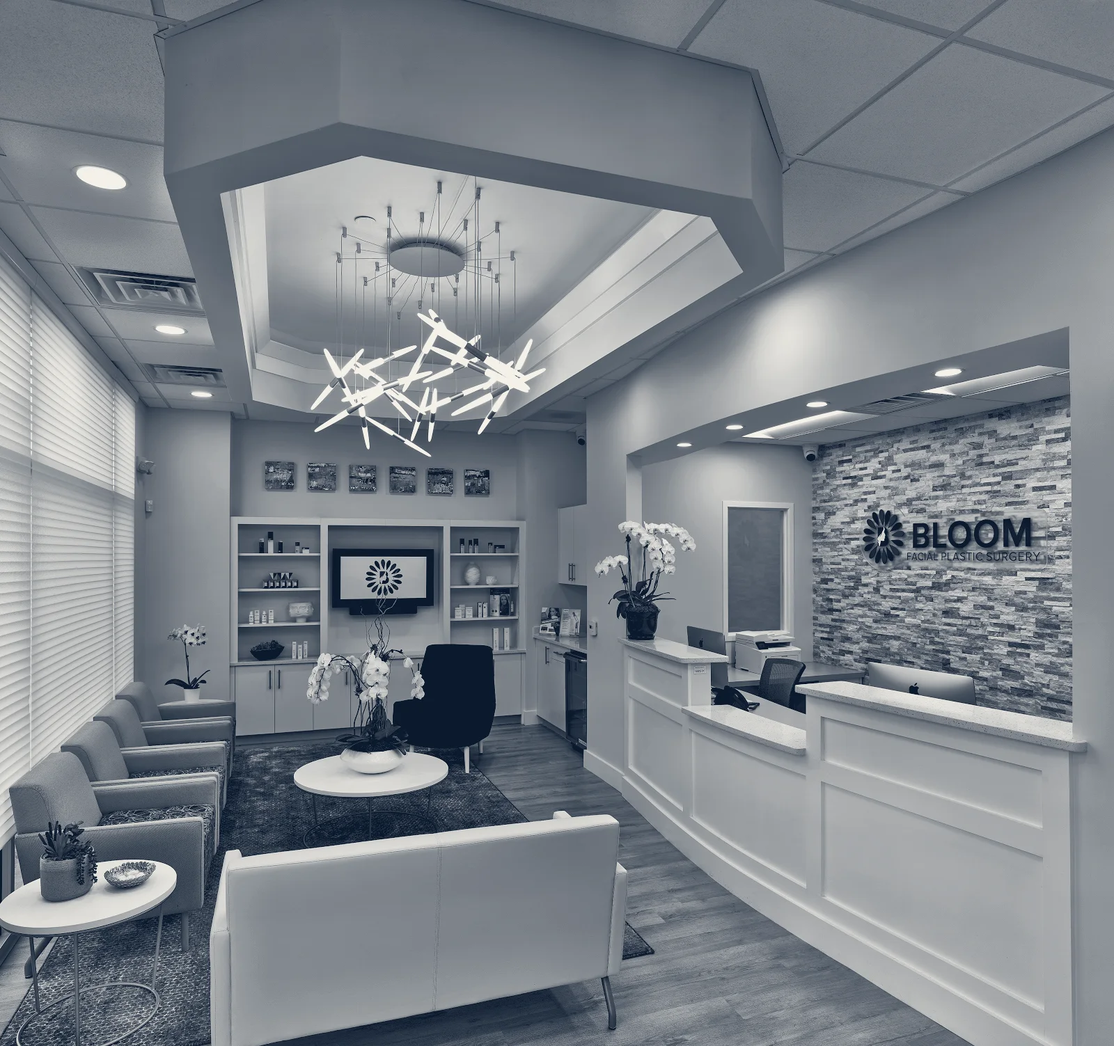 Bloom Facial Plastic & Aesthetic Surgery — Bryn Mawr, Pennsylvania