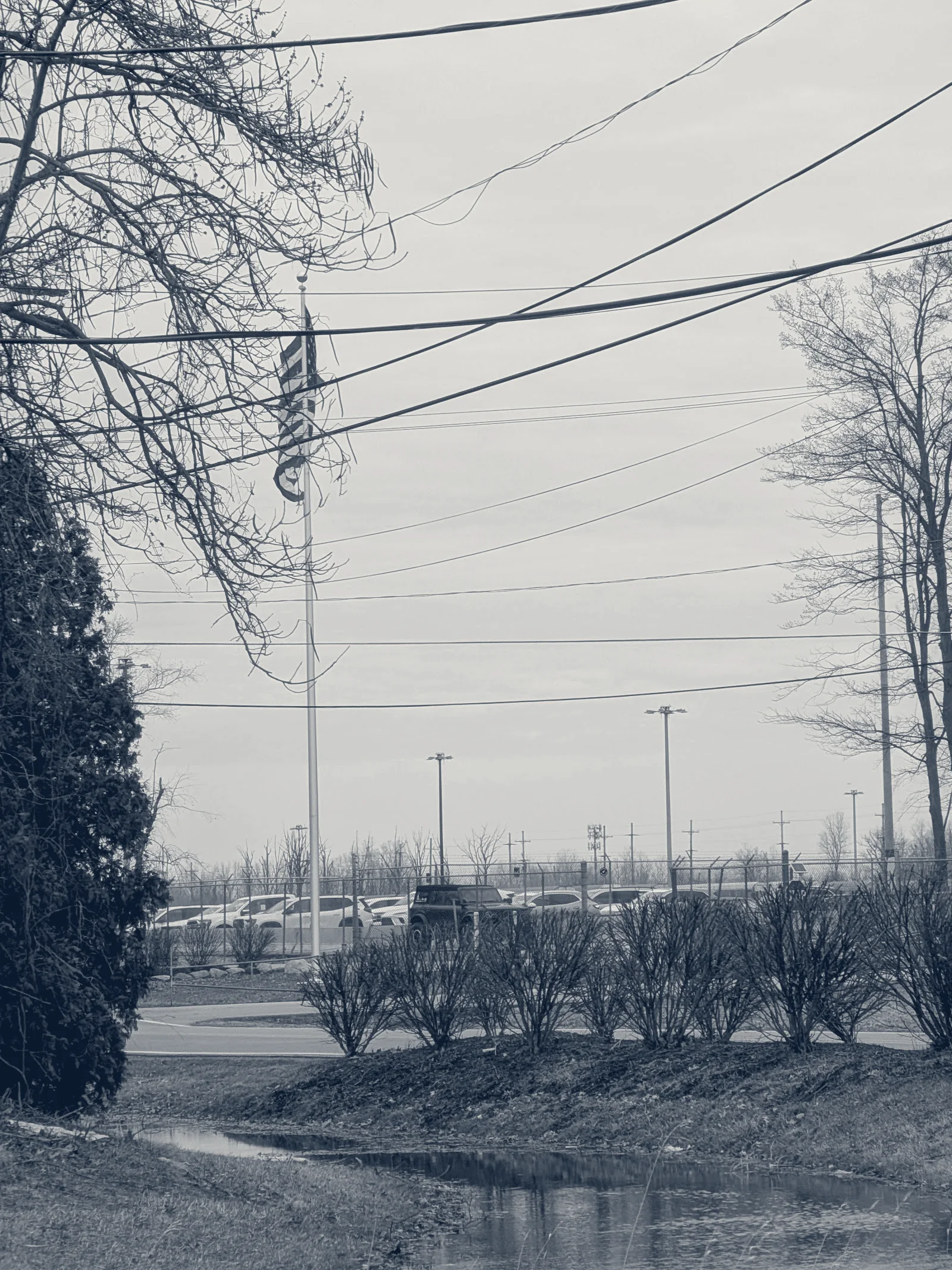 TDSI — New Boston, Michigan