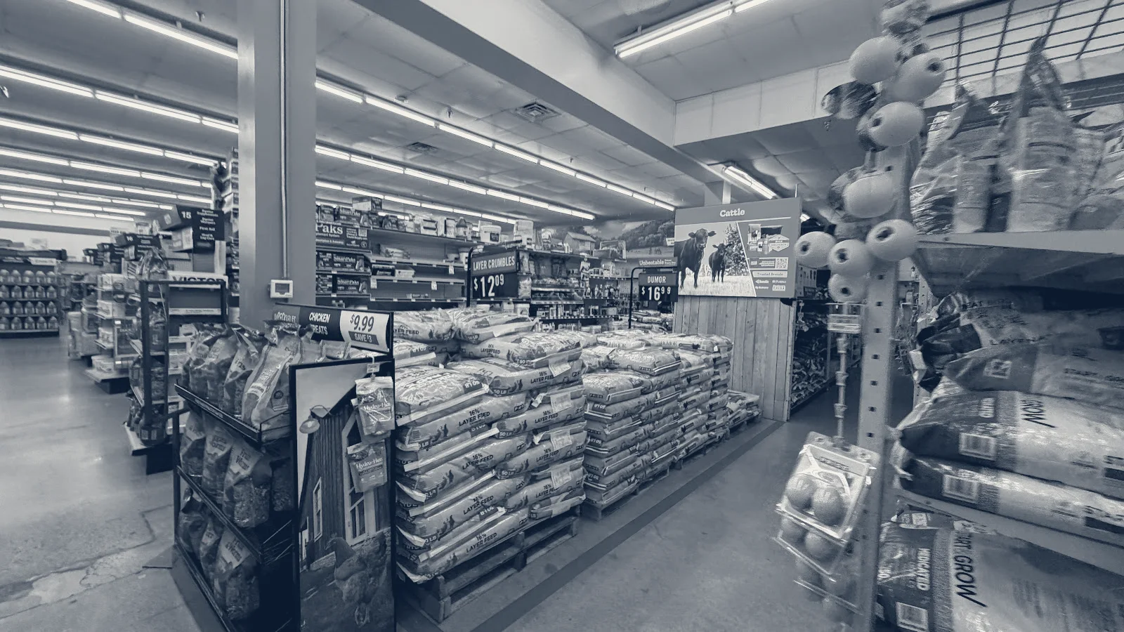 Tractor Supply Co. — Warren, Ohio