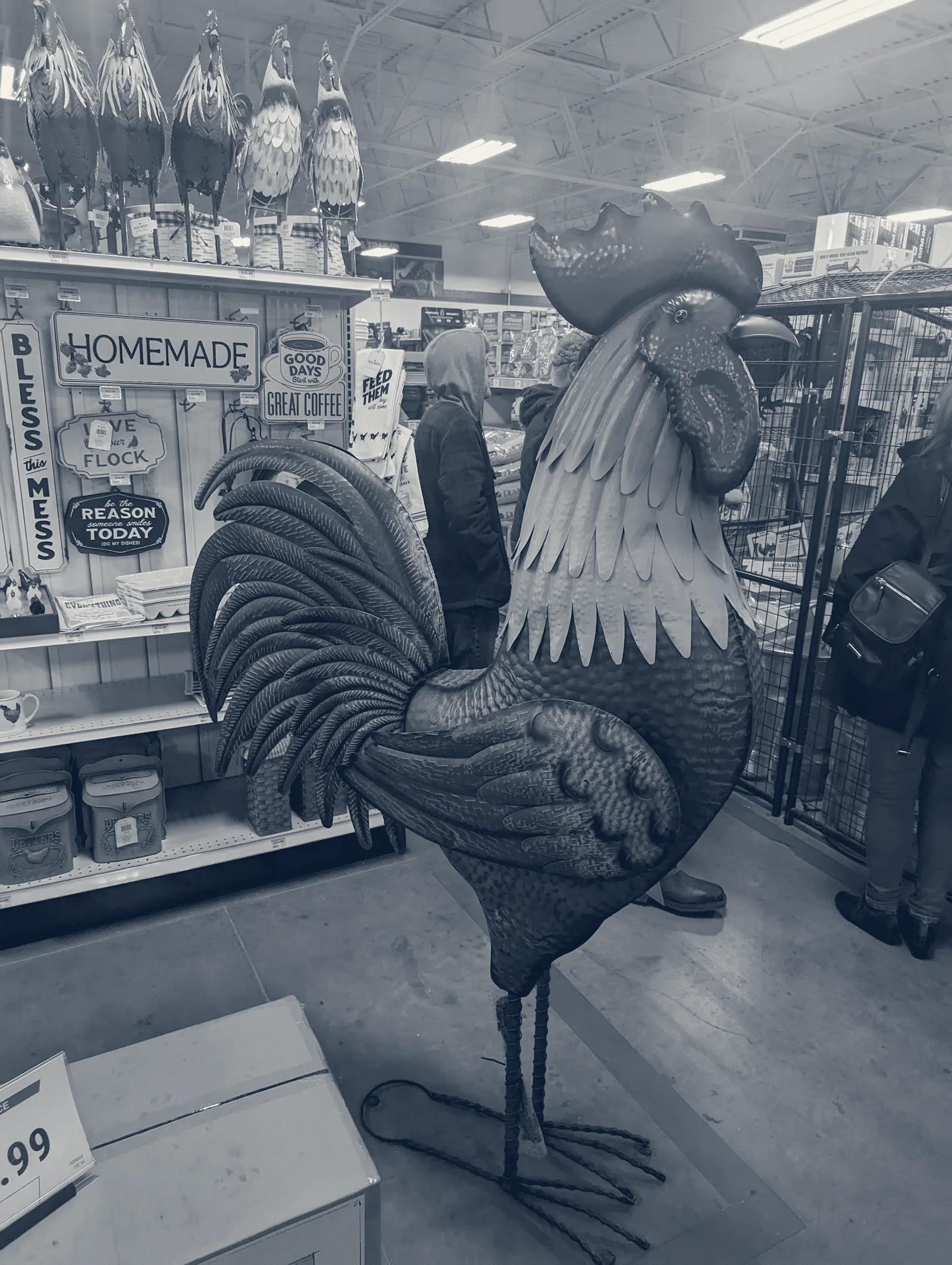 Tractor Supply Co. — Toledo, Ohio