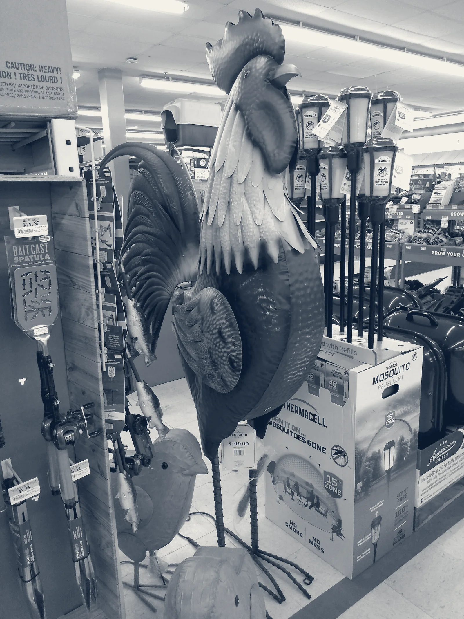 Tractor Supply Co. — Chardon, Ohio