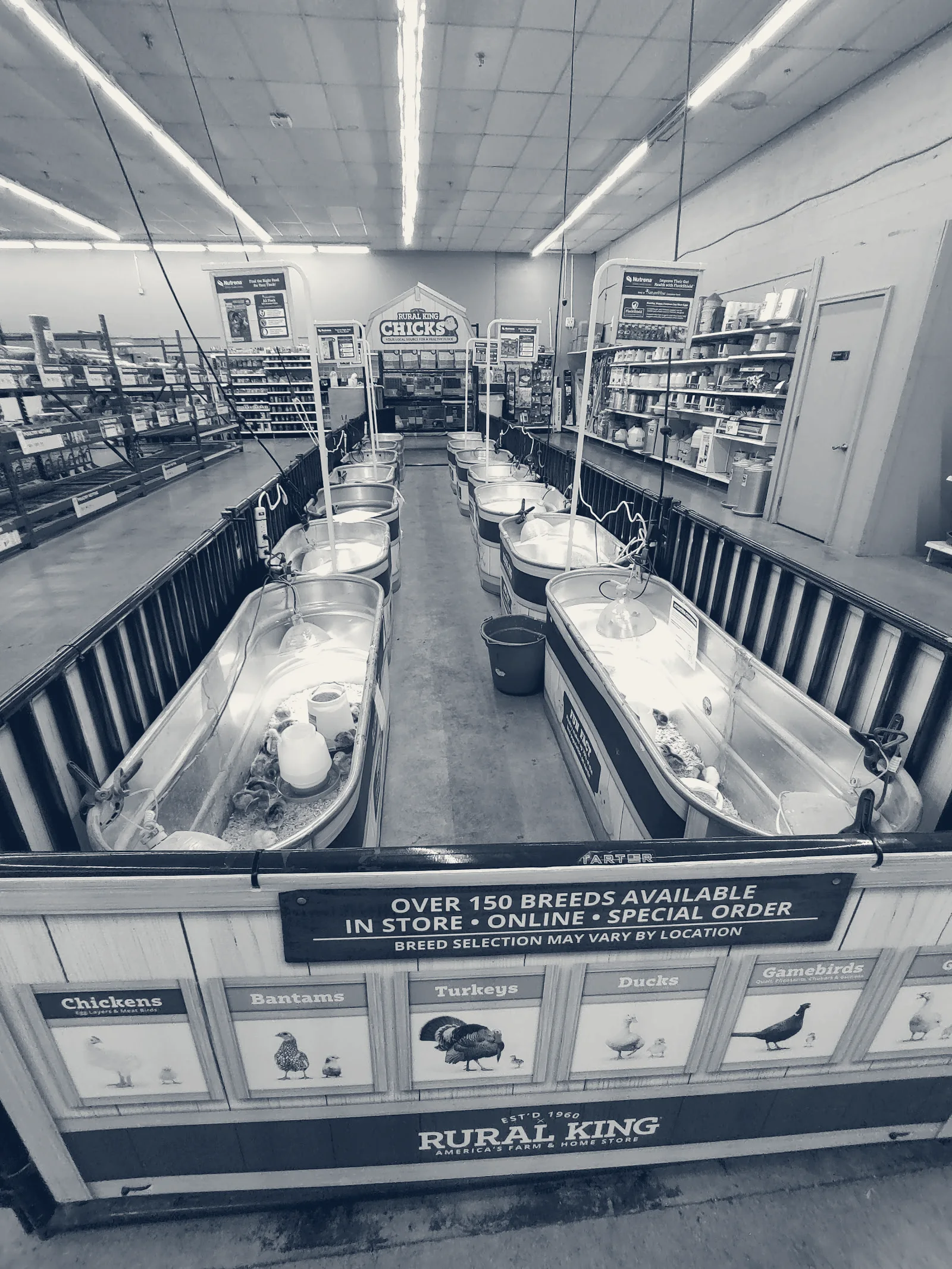 Rural King — New Philadelphia, Ohio