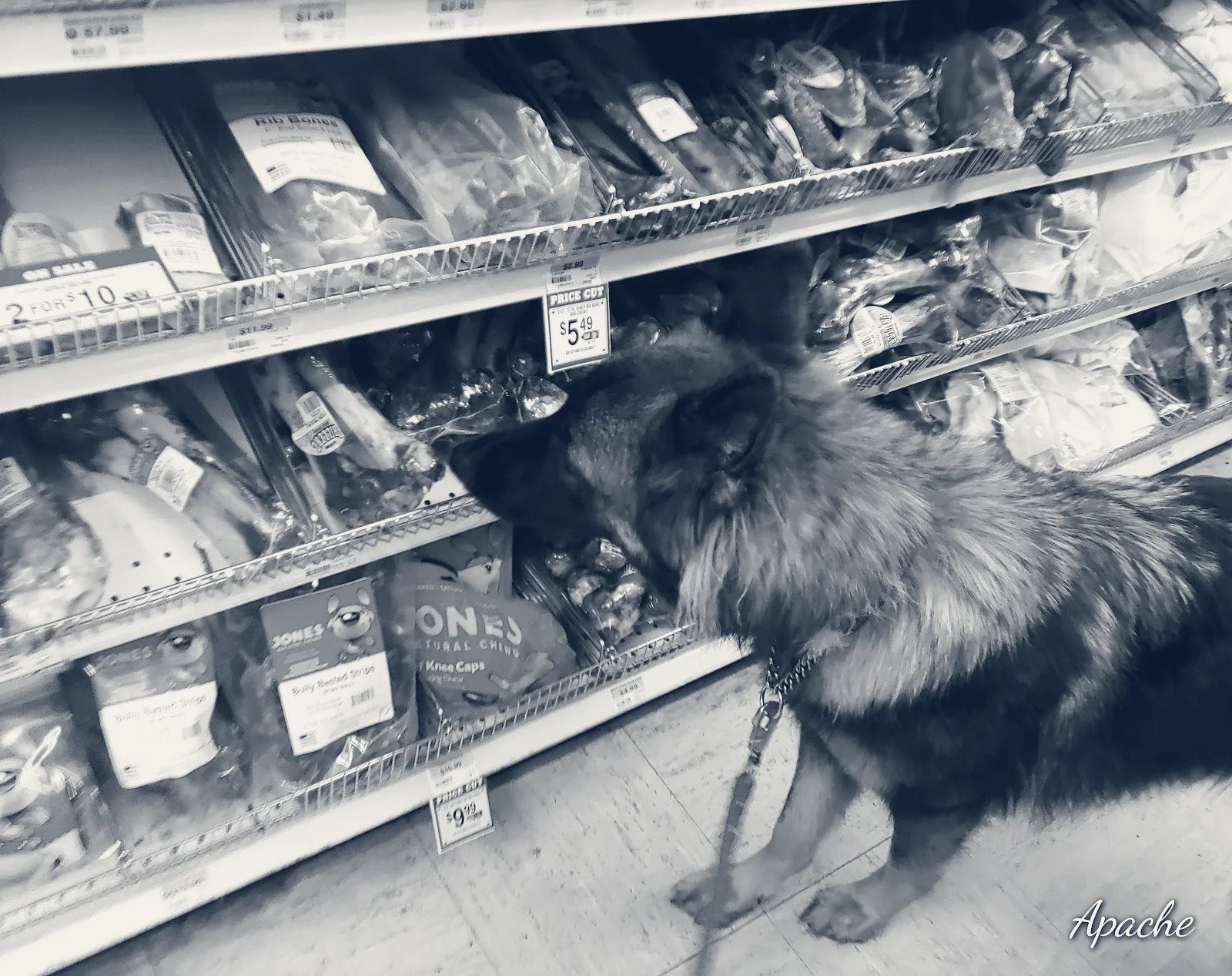 Tractor Supply Co. — Findlay, Ohio