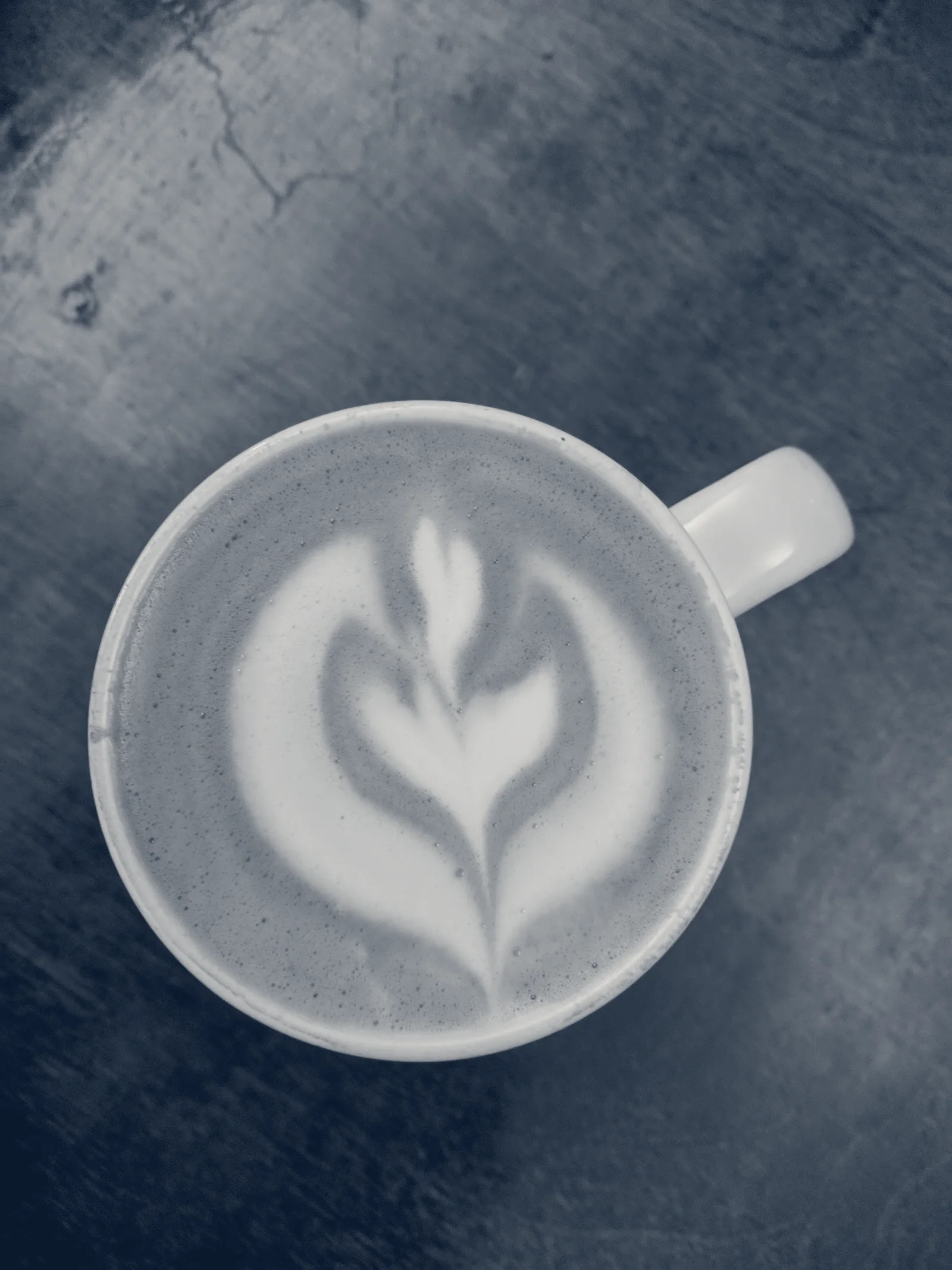 Muggswigz Business to Business Coffee & Tea Lab — Canton, Ohio