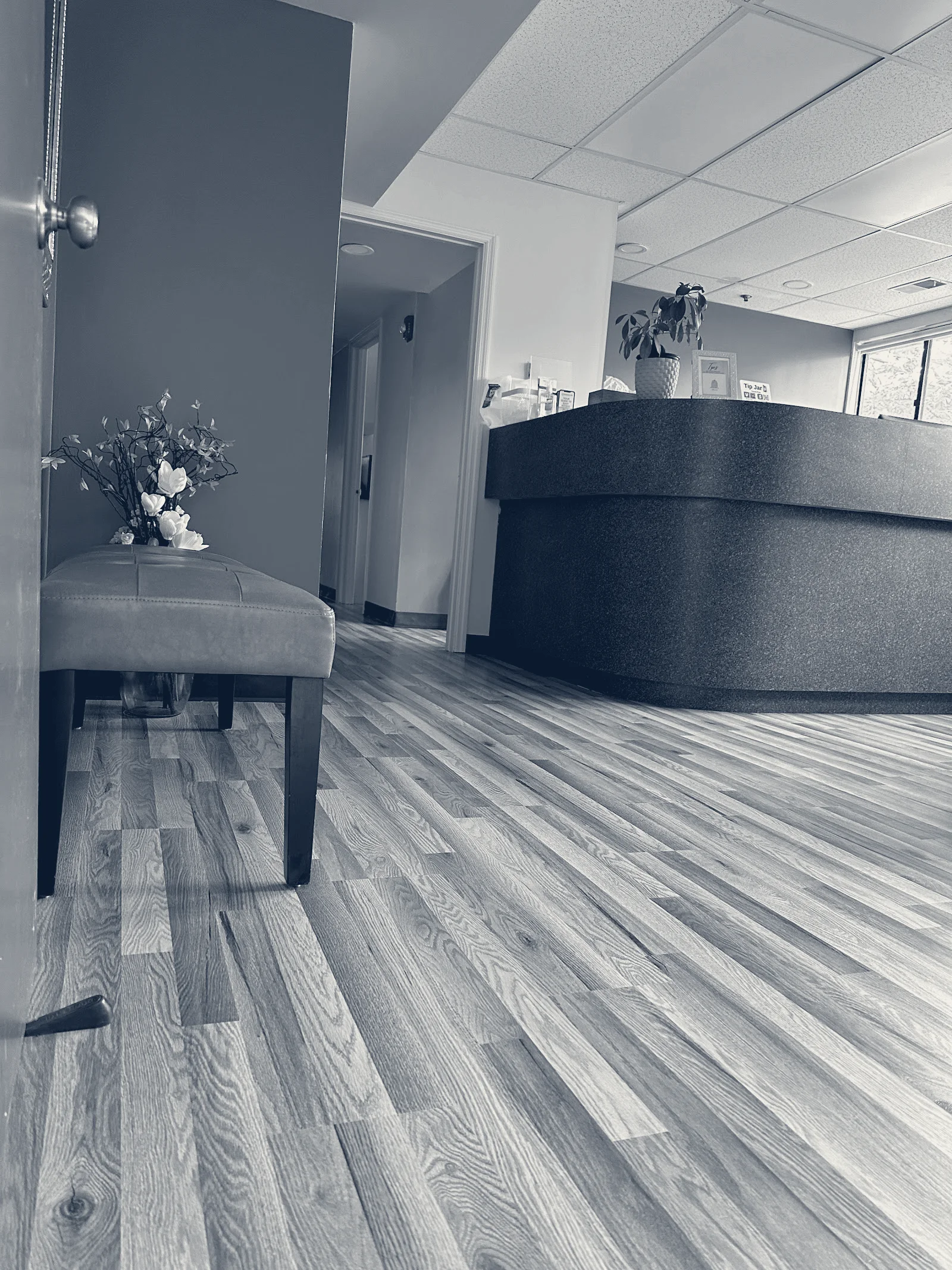 Wellness and Skincare Medical Spa — Poughkeepsie, New York